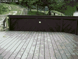 When the app goes into beta and the first bug reports arrive