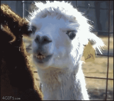 When I'm told that my code is broken in production