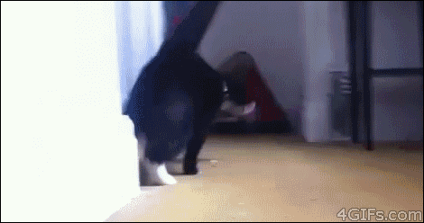 Ninja-fixing a bug 10 minutes before the demo for client