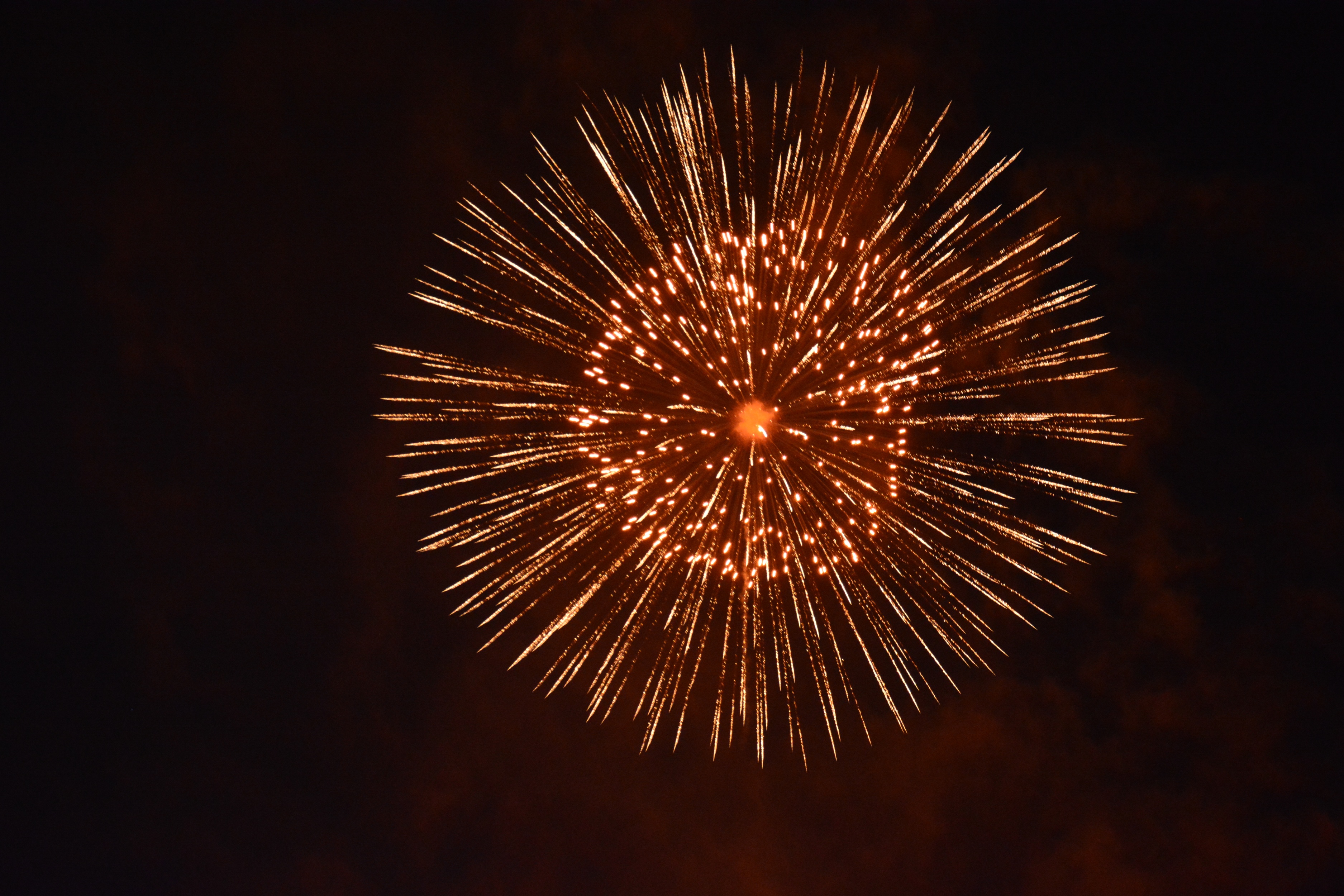 Zuerifaescht Feuerwerk 2013 - 008