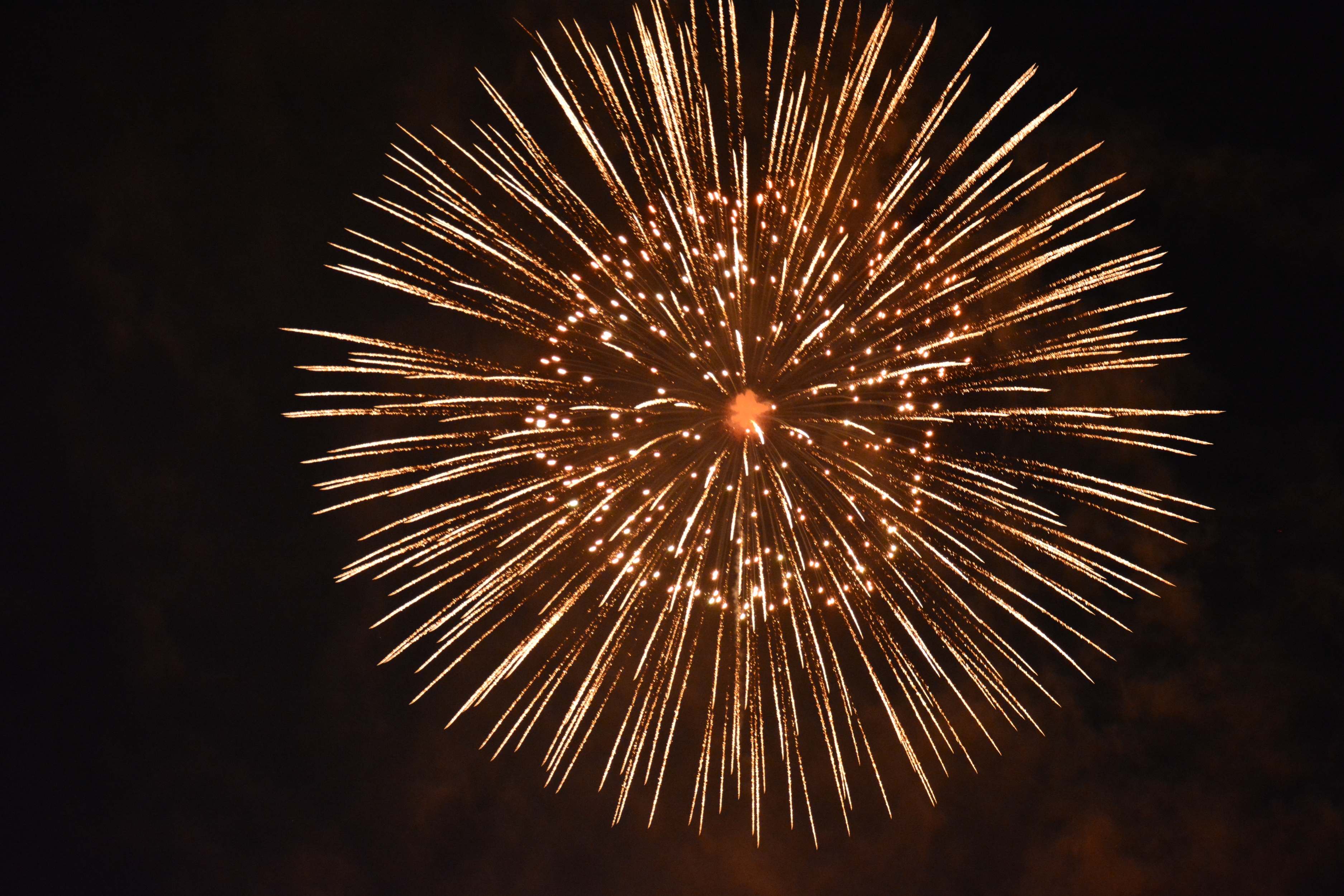 Zuerifaescht Feuerwerk 2013 - 009