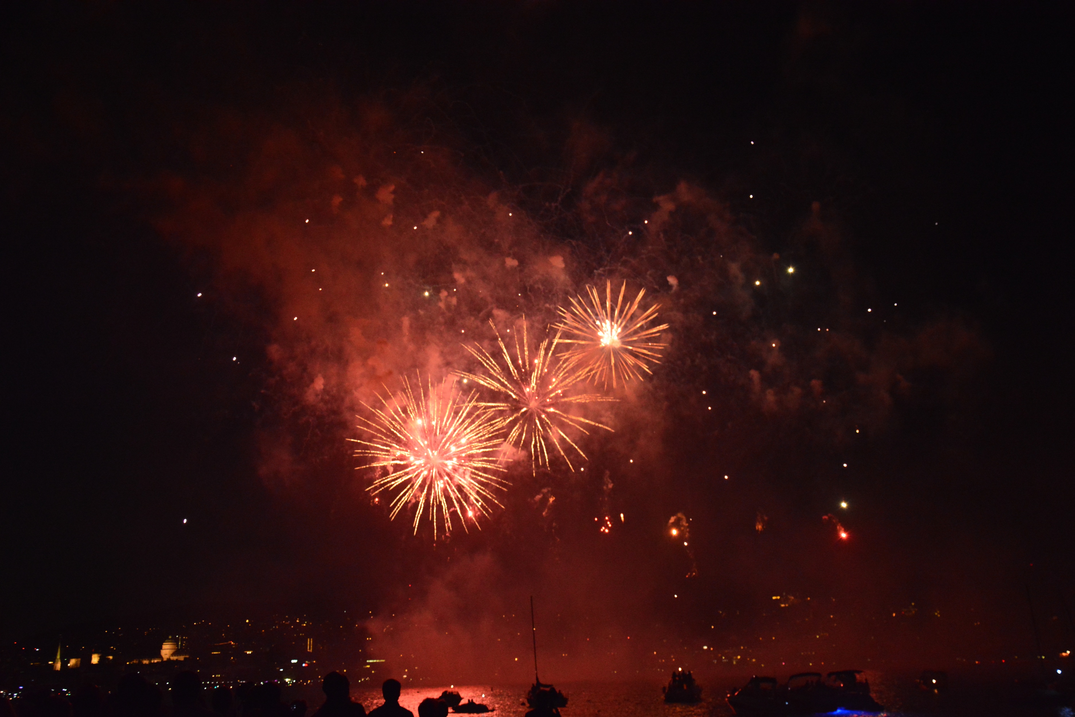 Zuerifaescht Feuerwerk 2013 - 031