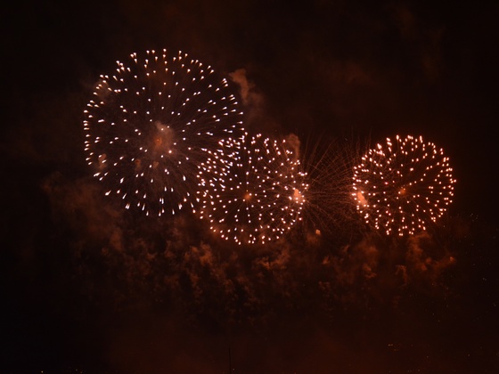 Zuerifaescht Feuerwerk 2013 - 038