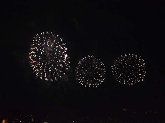Zuerifaescht Feuerwerk 2013 - 043