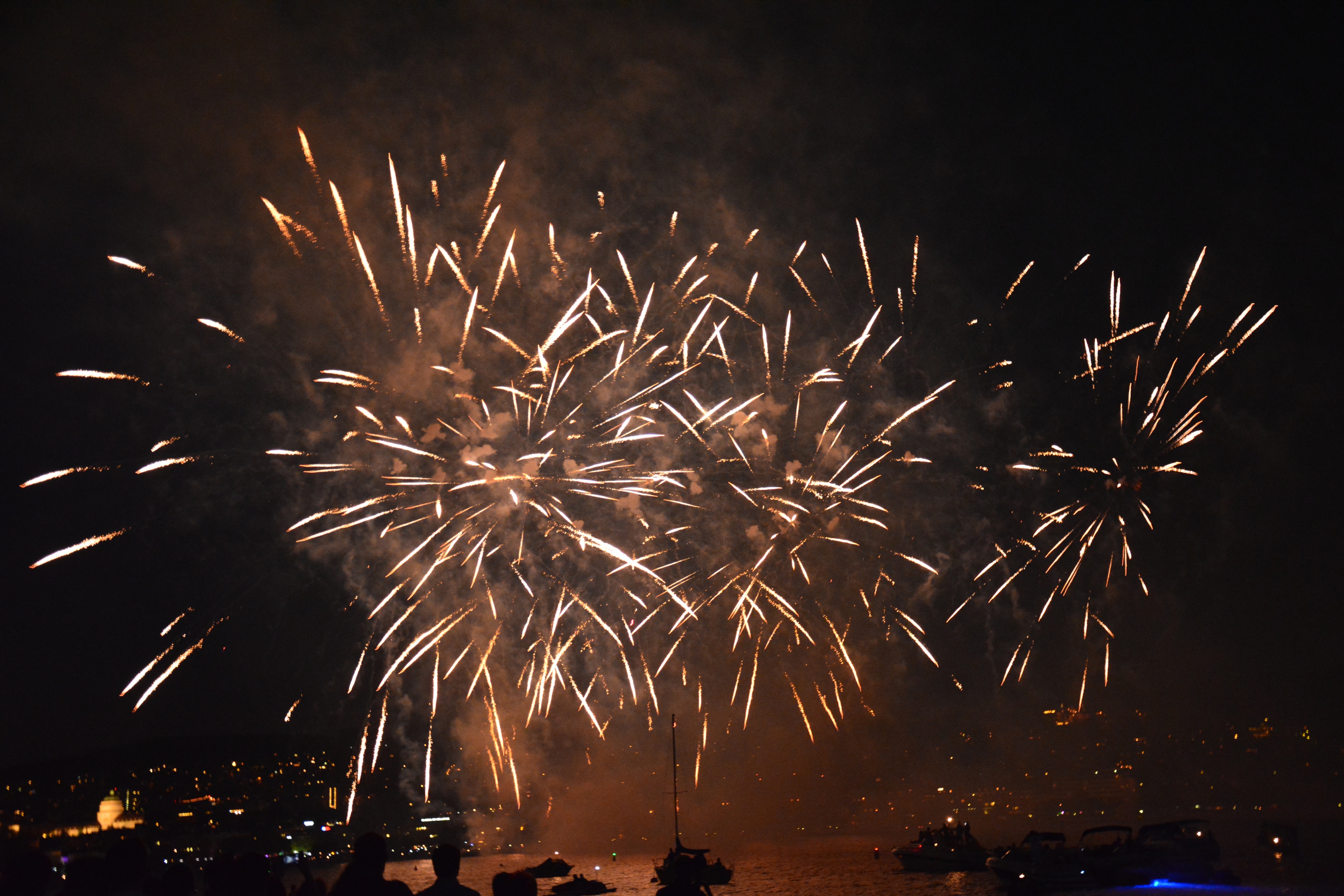 Zuerifaescht Feuerwerk 2013 - 056