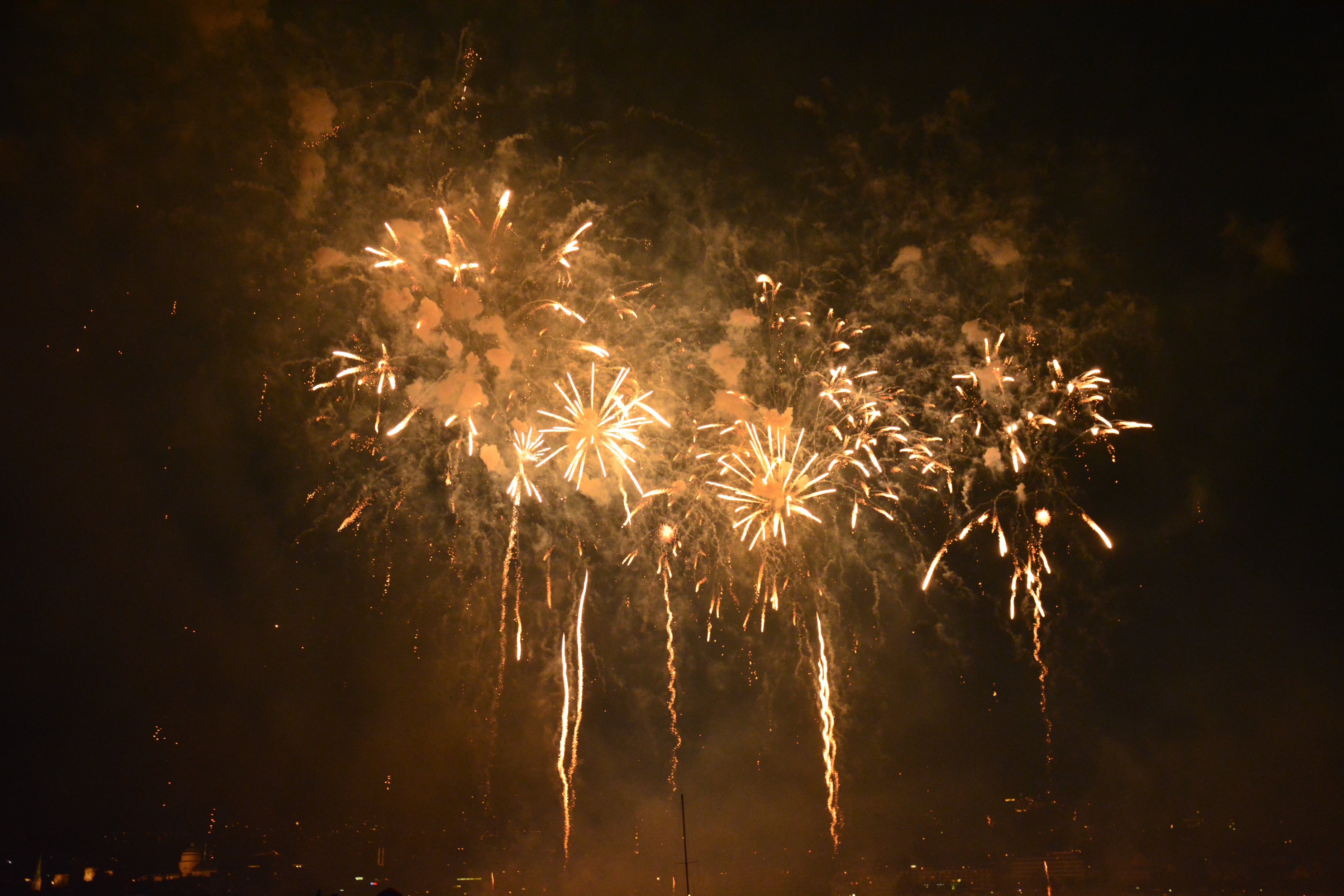 Zuerifaescht Feuerwerk 2013 - 117