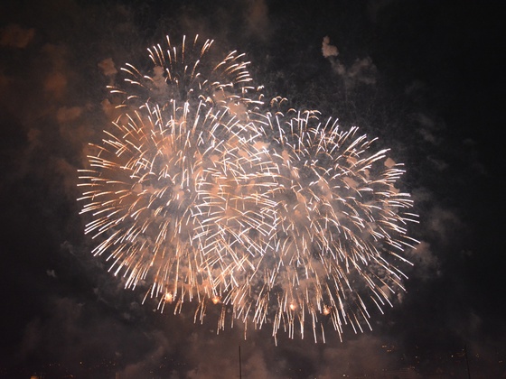Zuerifaescht Feuerwerk 2013 - 136