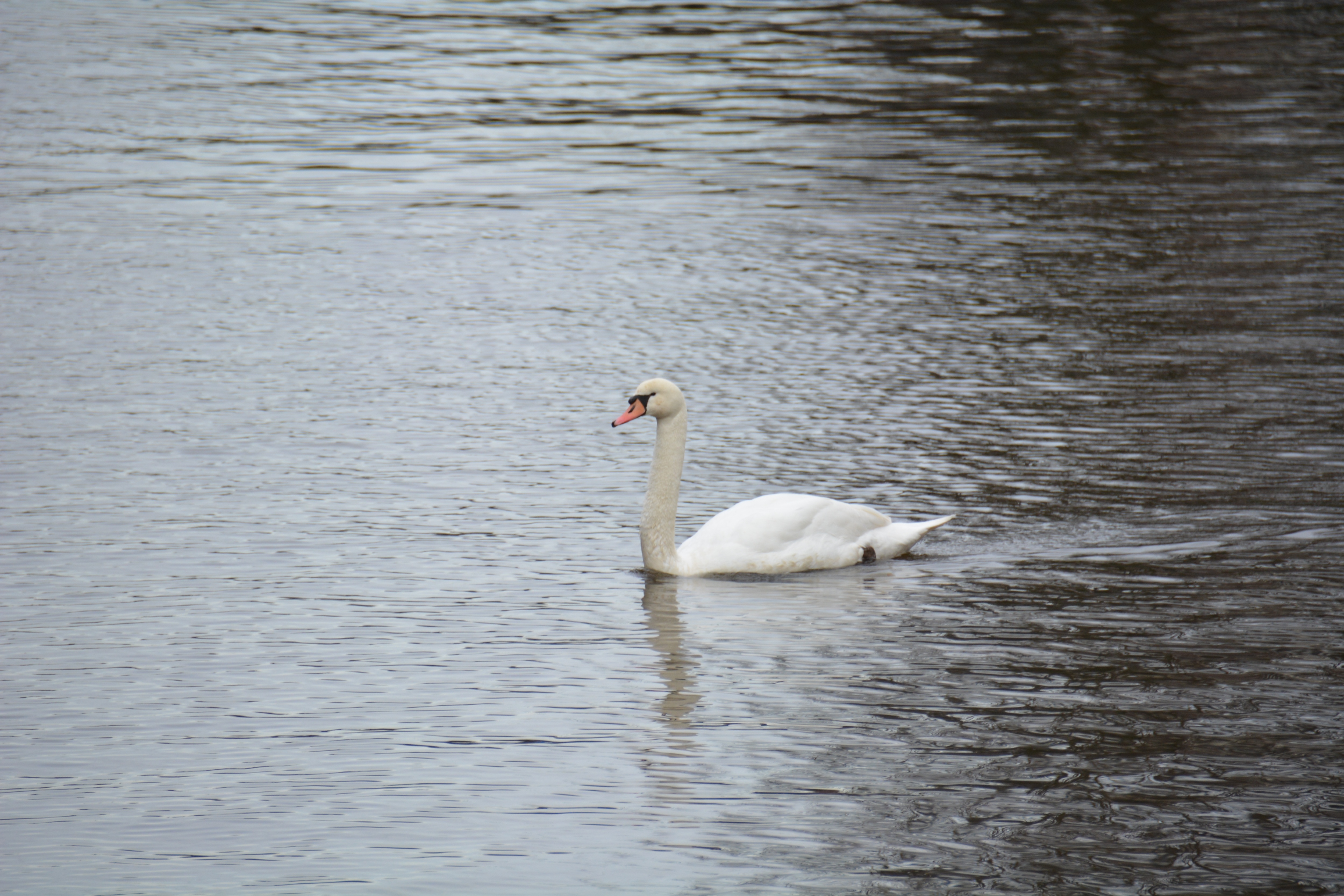 2014-02-13 - Trip To Amsterdam 2014 - 024