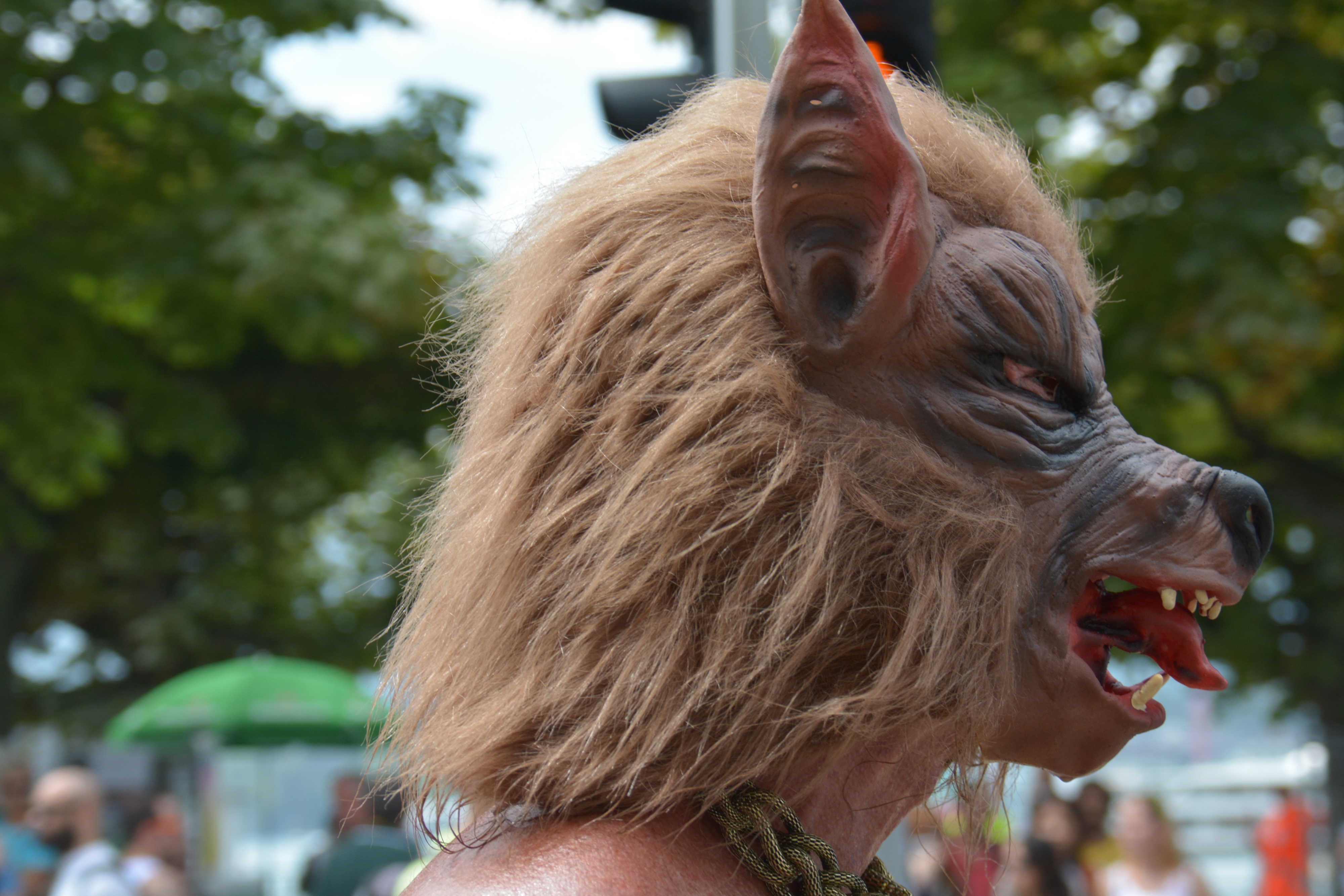 2014-08-02 - Street Parade 2014 - 003