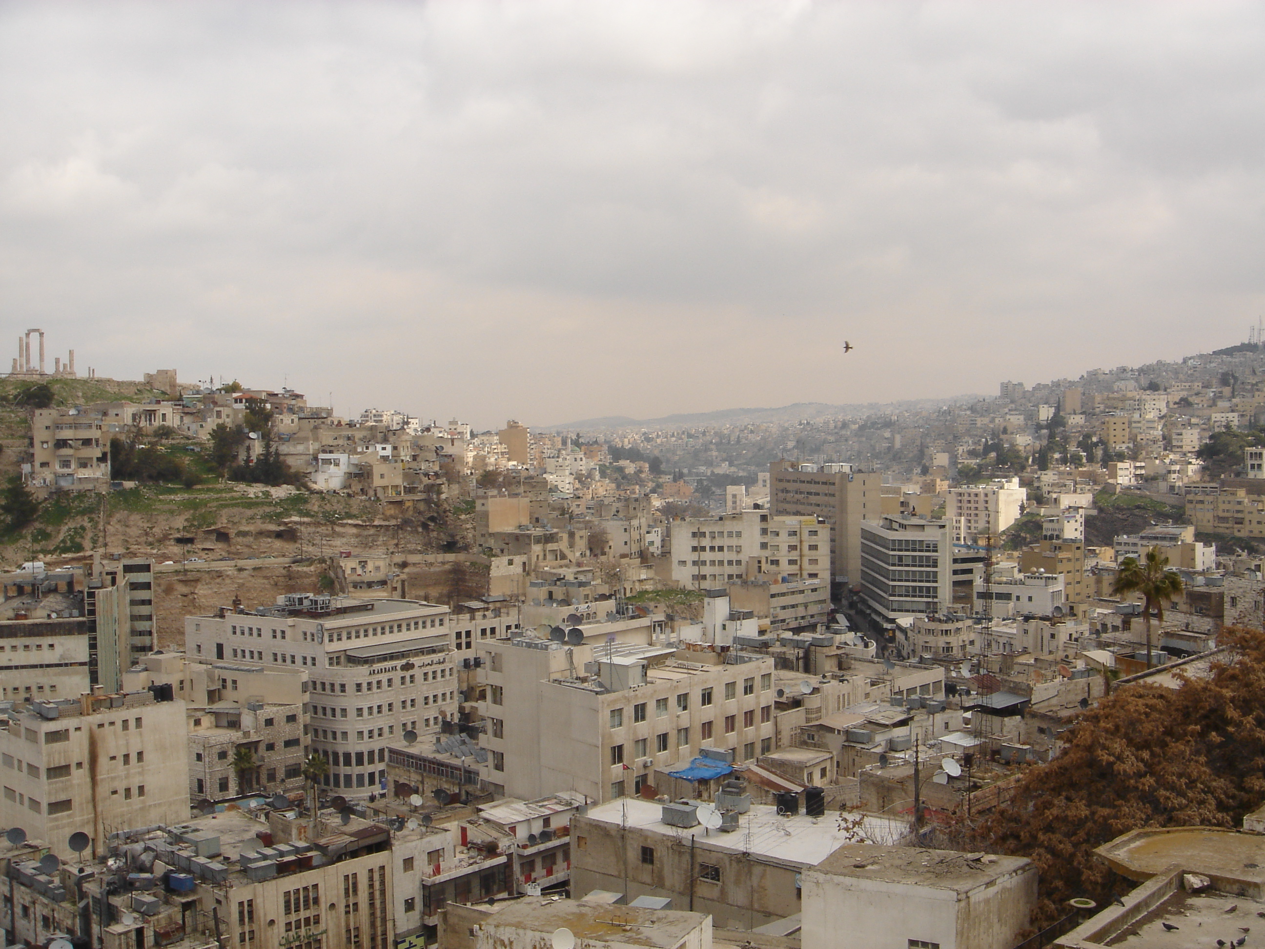 2008-03-03 - Jordantrip - 016