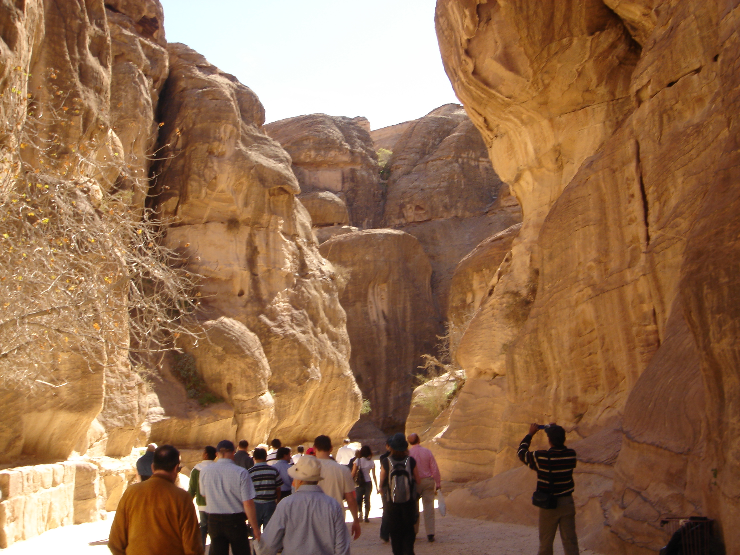 2008-03-03 - Jordantrip - 029