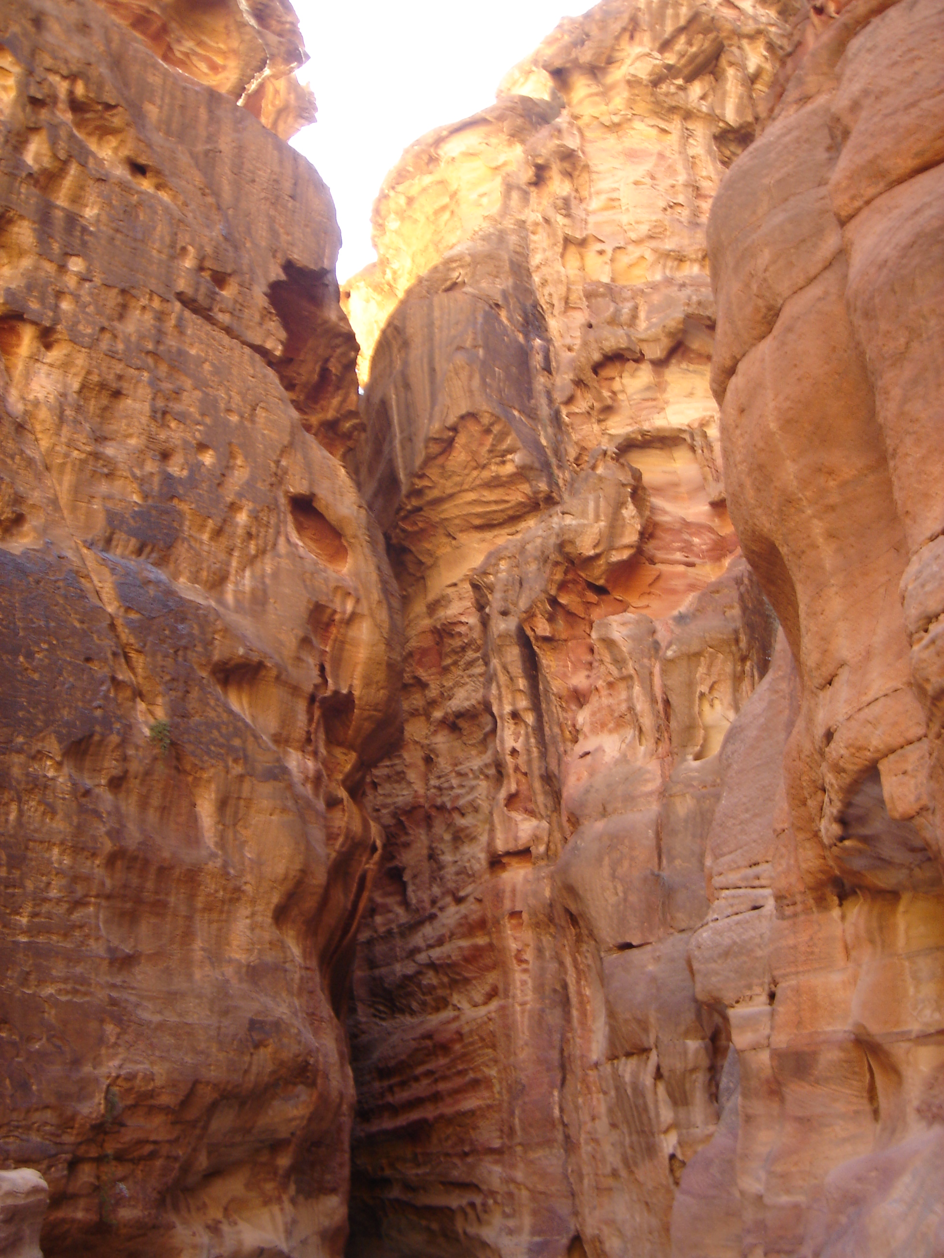 2008-03-03 - Jordantrip - 042