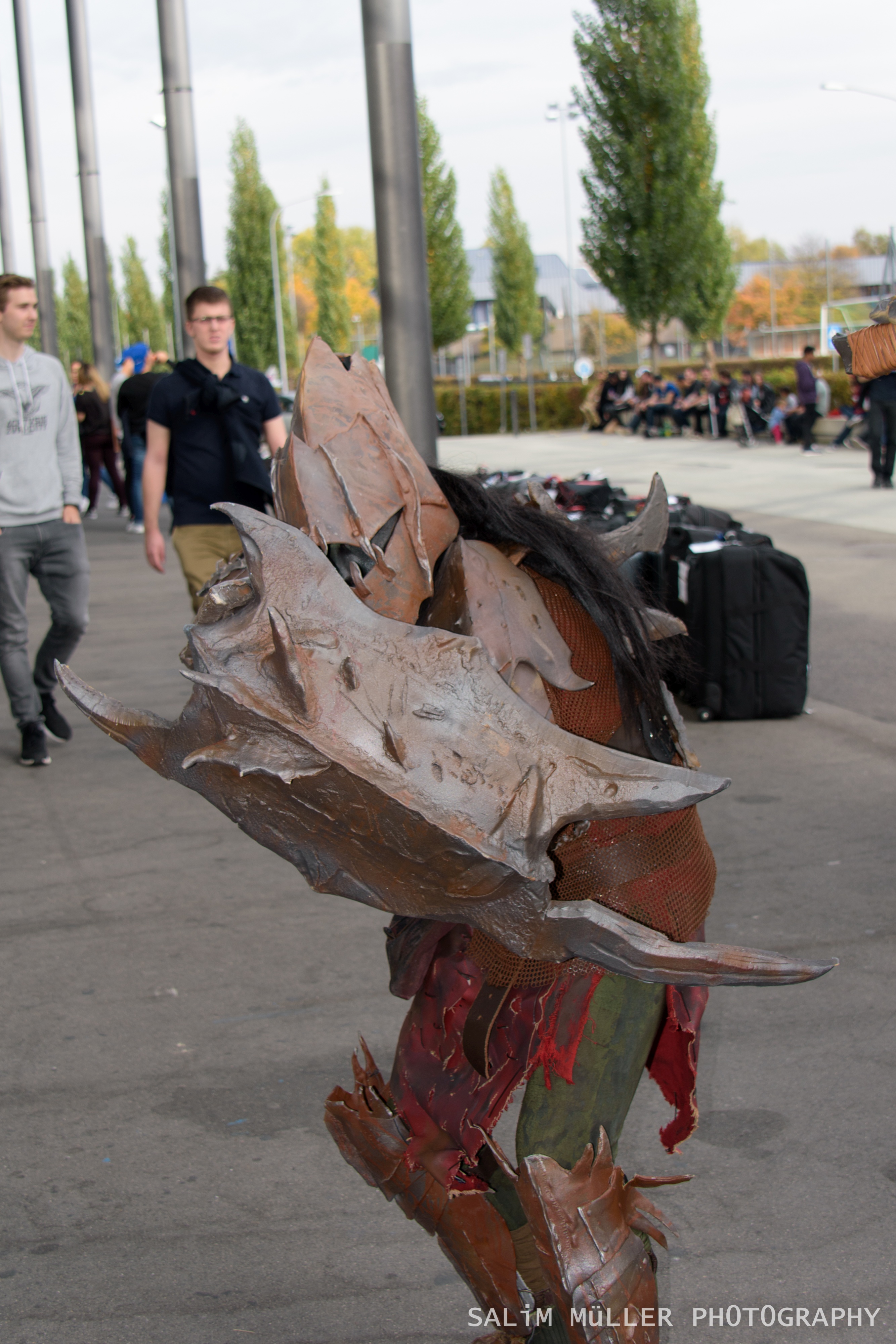 Zürich Gameshow 2017 - Cosplay - 225