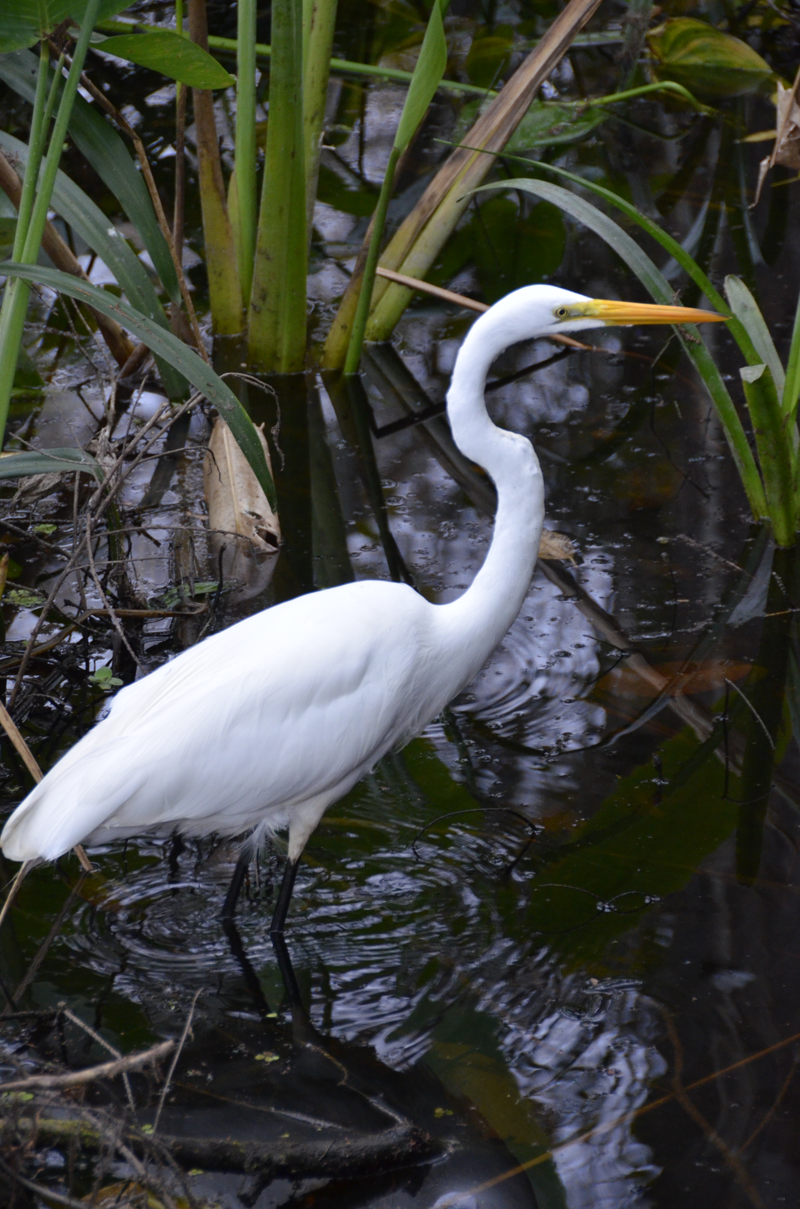 2012-01-31 - Floridatrip - 073