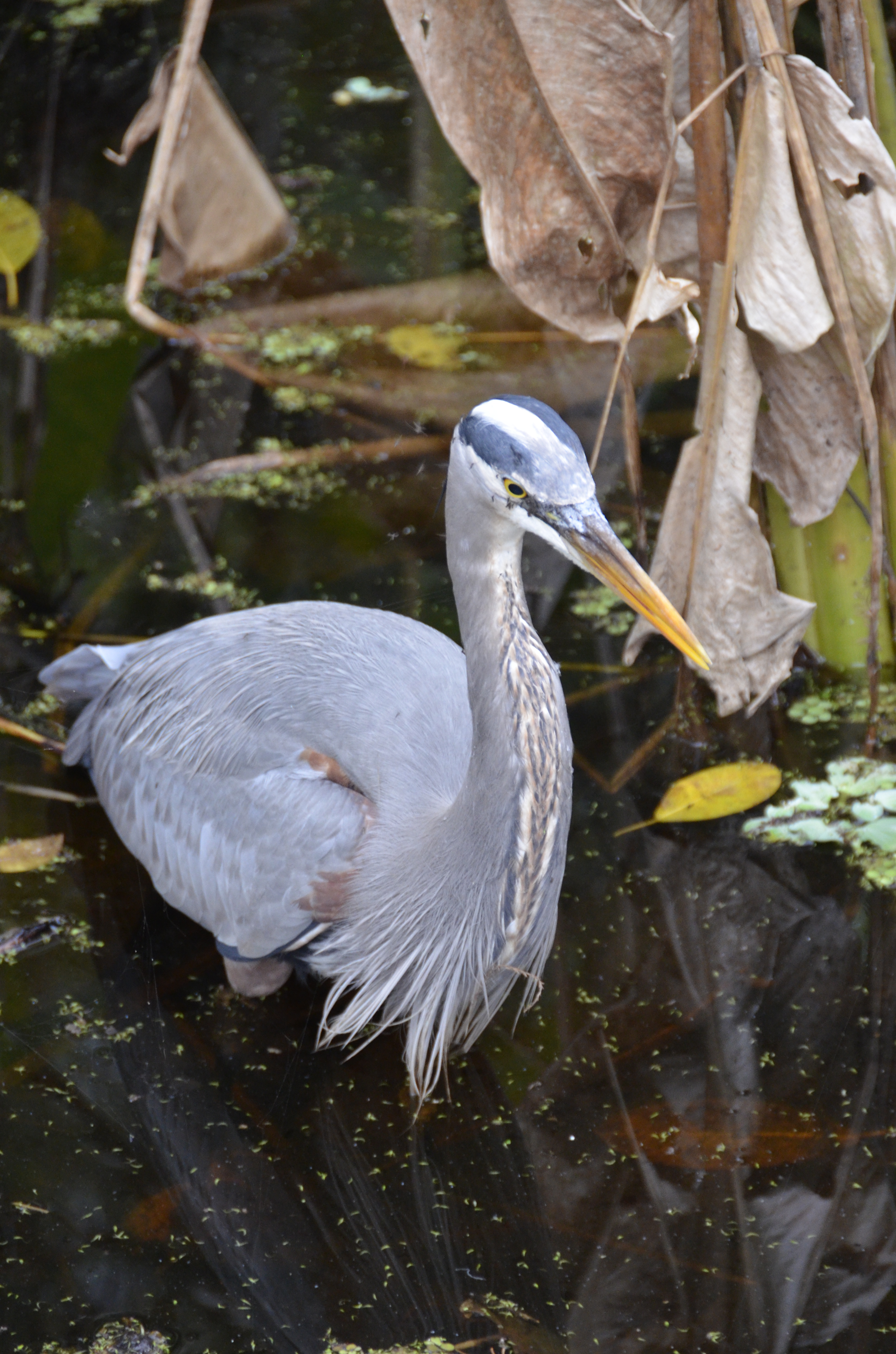 2012-01-31 - Floridatrip - 078