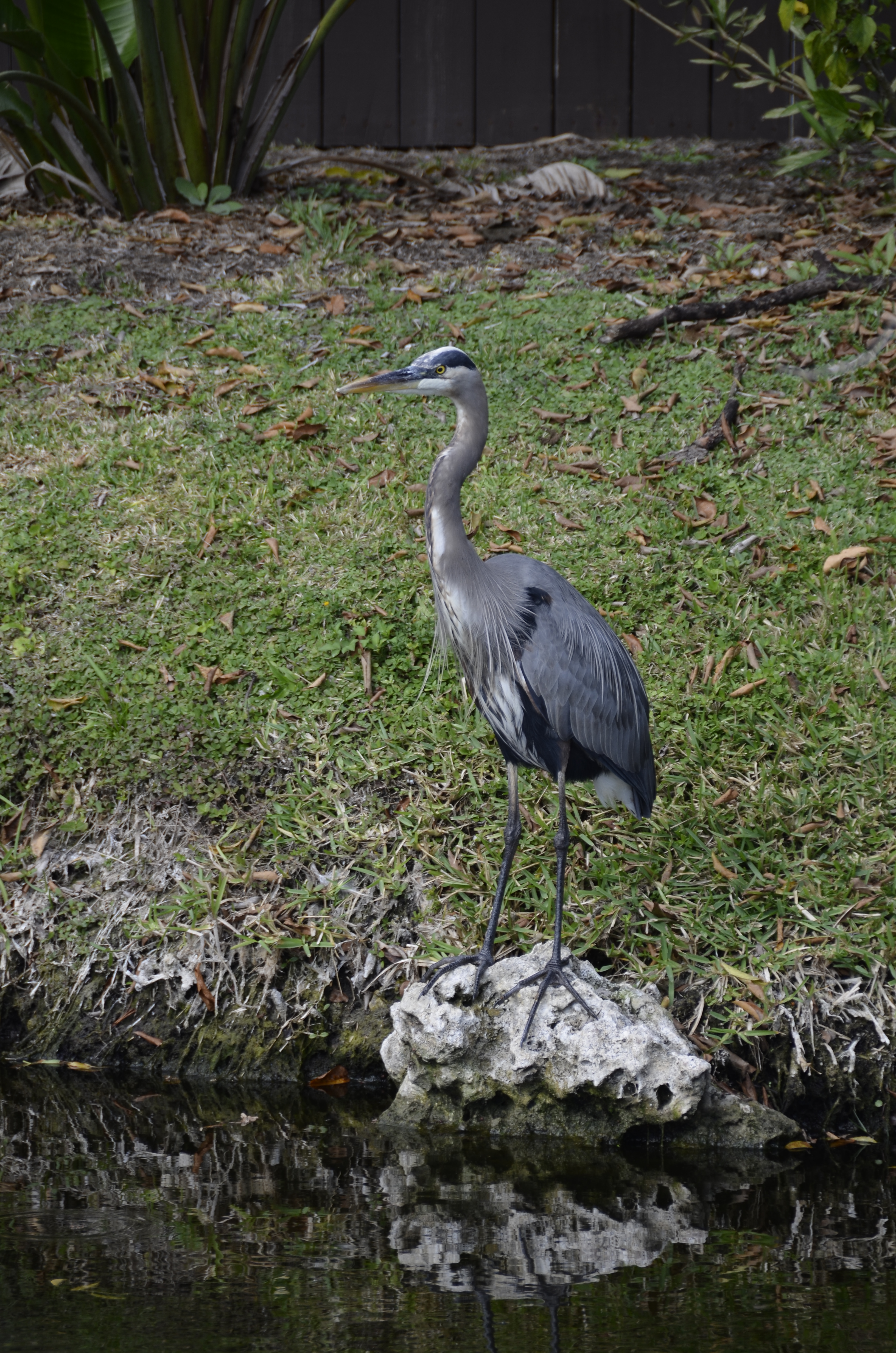 2012-01-31 - Floridatrip - 097