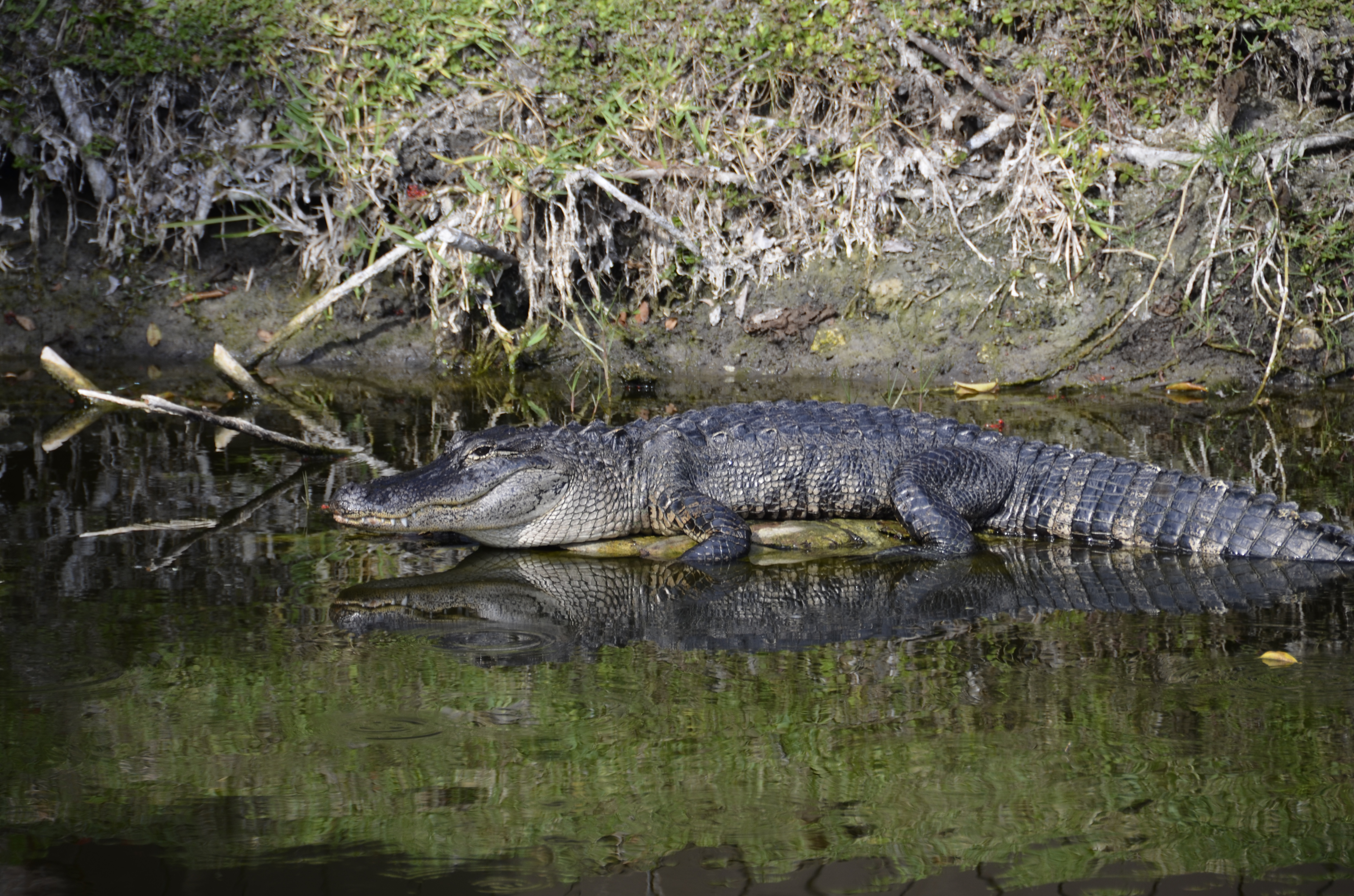 2012-01-31 - Floridatrip - 098