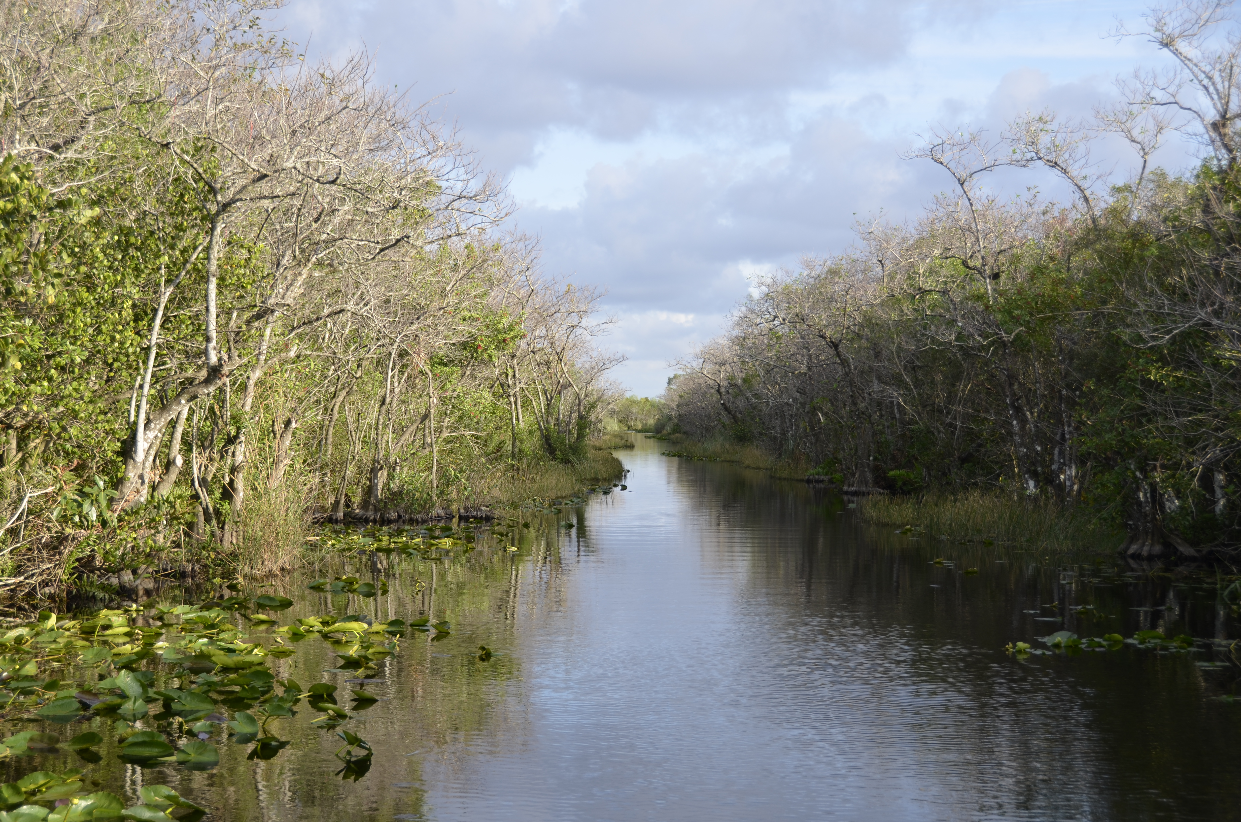 2012-01-31 - Floridatrip - 105