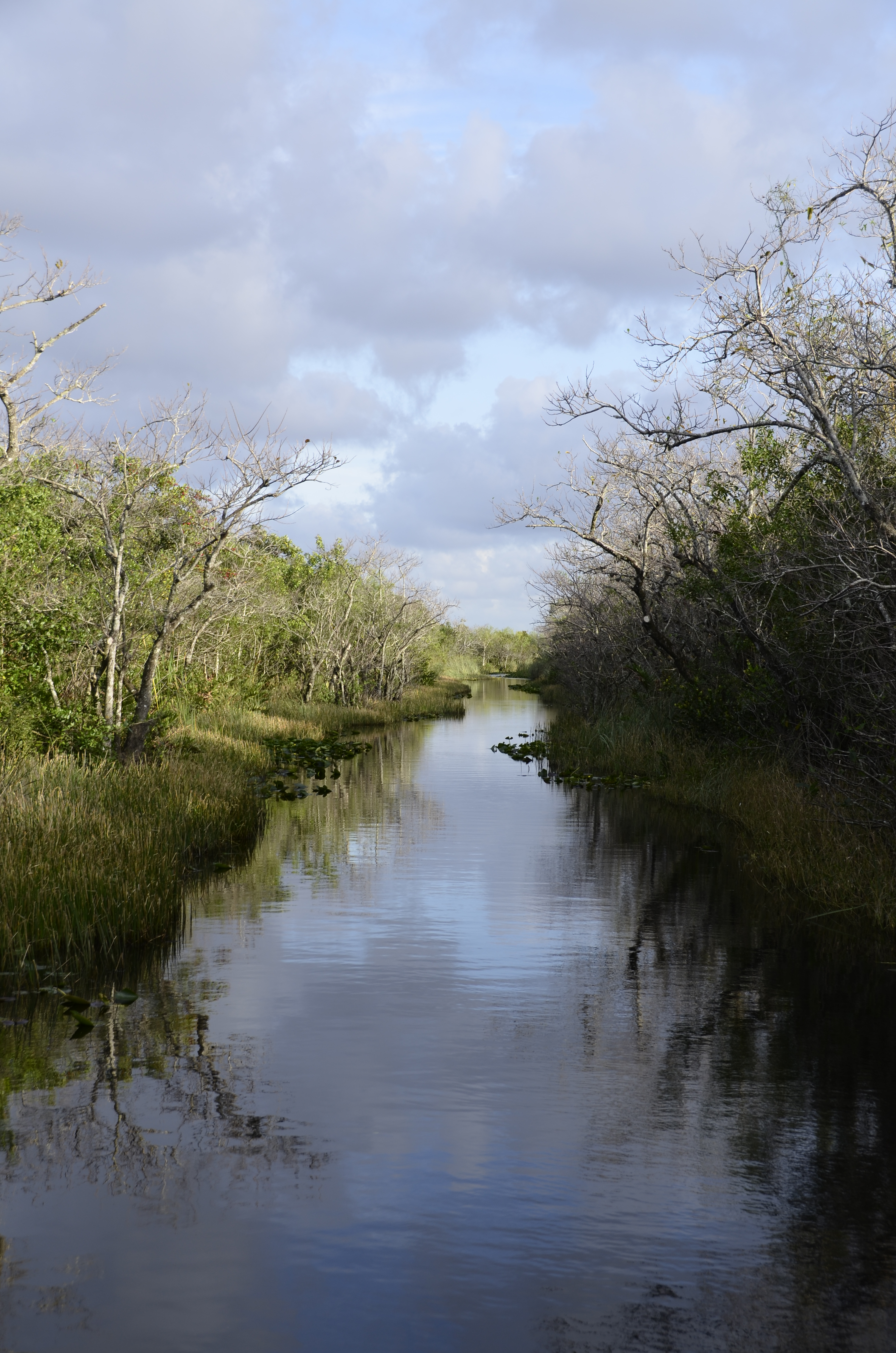 2012-01-31 - Floridatrip - 106