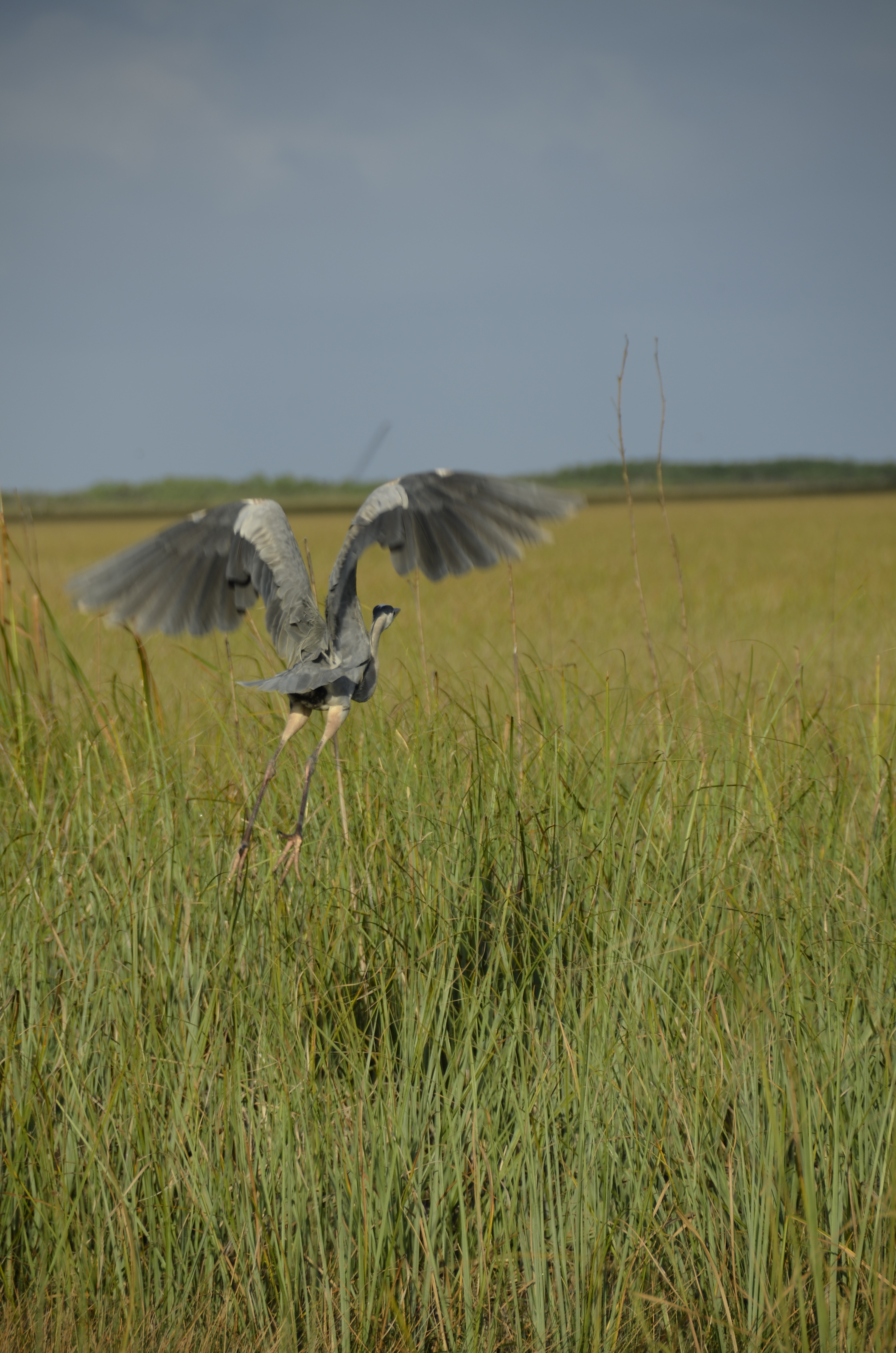 2012-01-31 - Floridatrip - 120