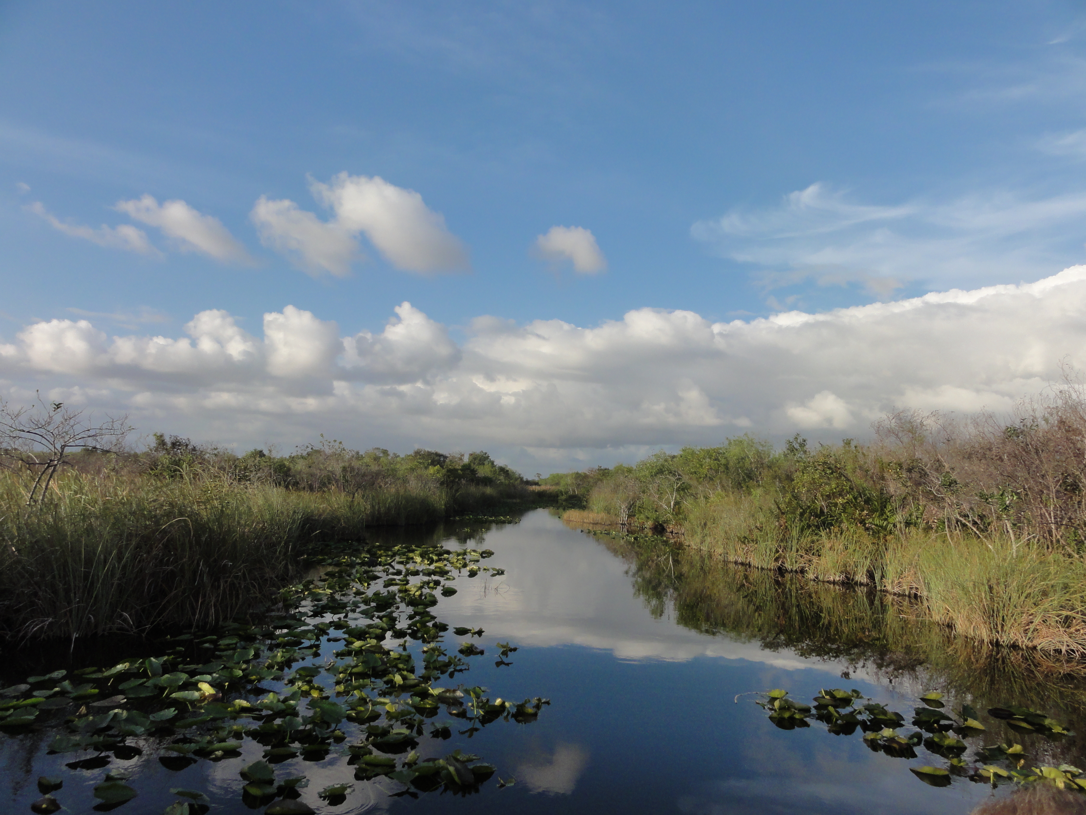 2012-01-31 - Floridatrip - 123