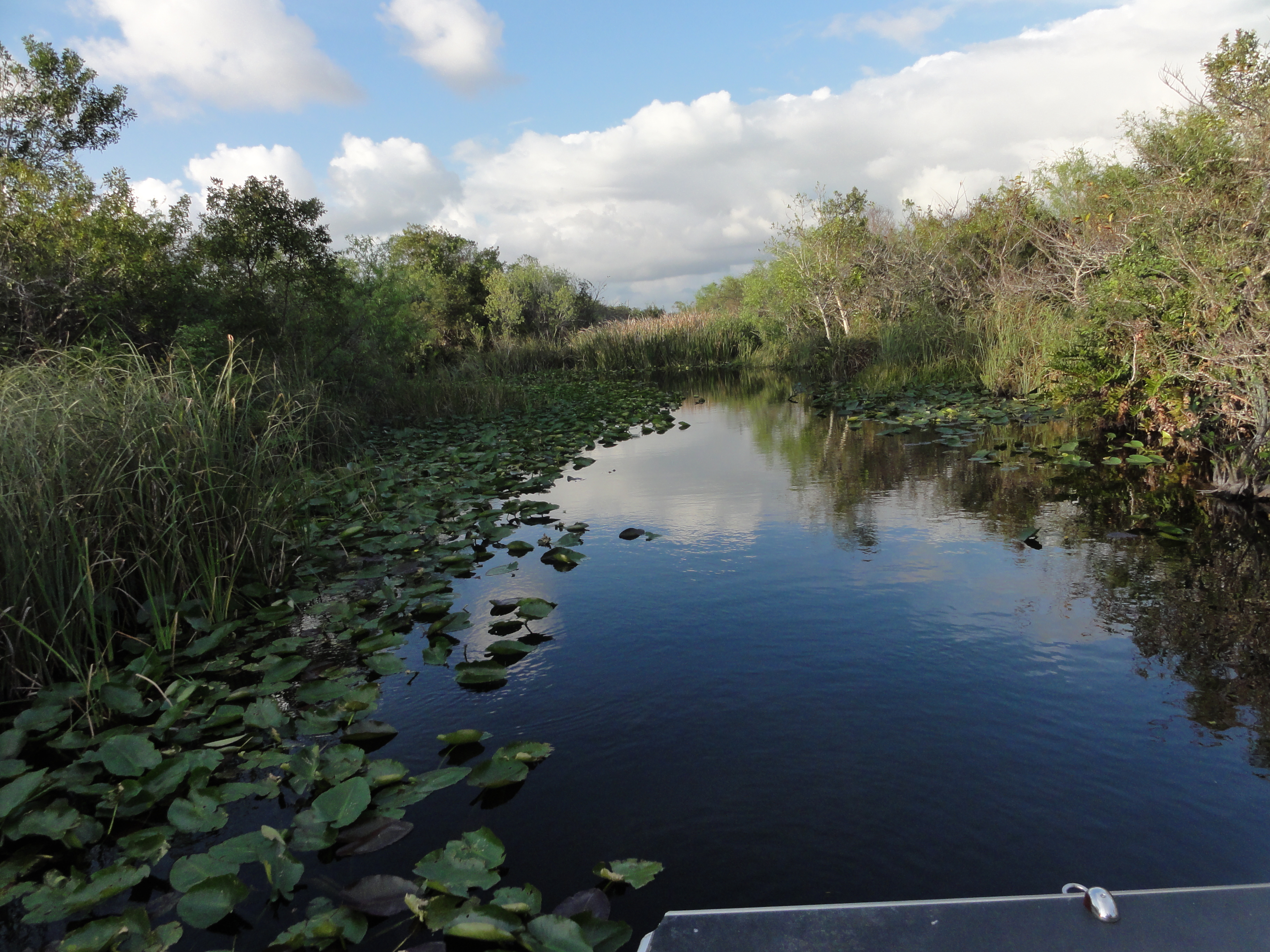 2012-01-31 - Floridatrip - 124