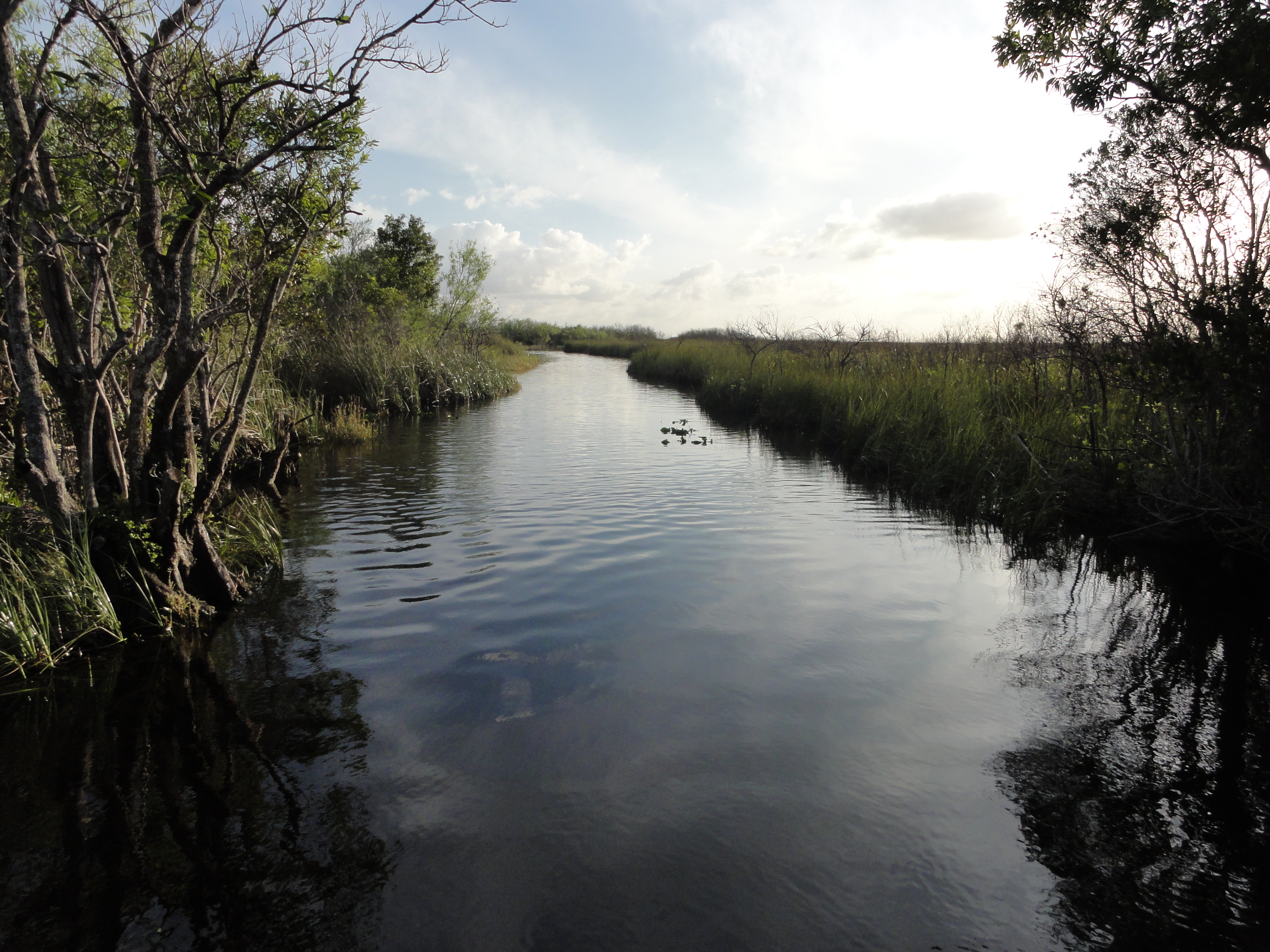 2012-01-31 - Floridatrip - 125