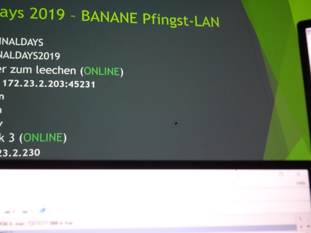 FINAL-days 2019 aka BANANE-LAN 2019 (Gurit) - 014