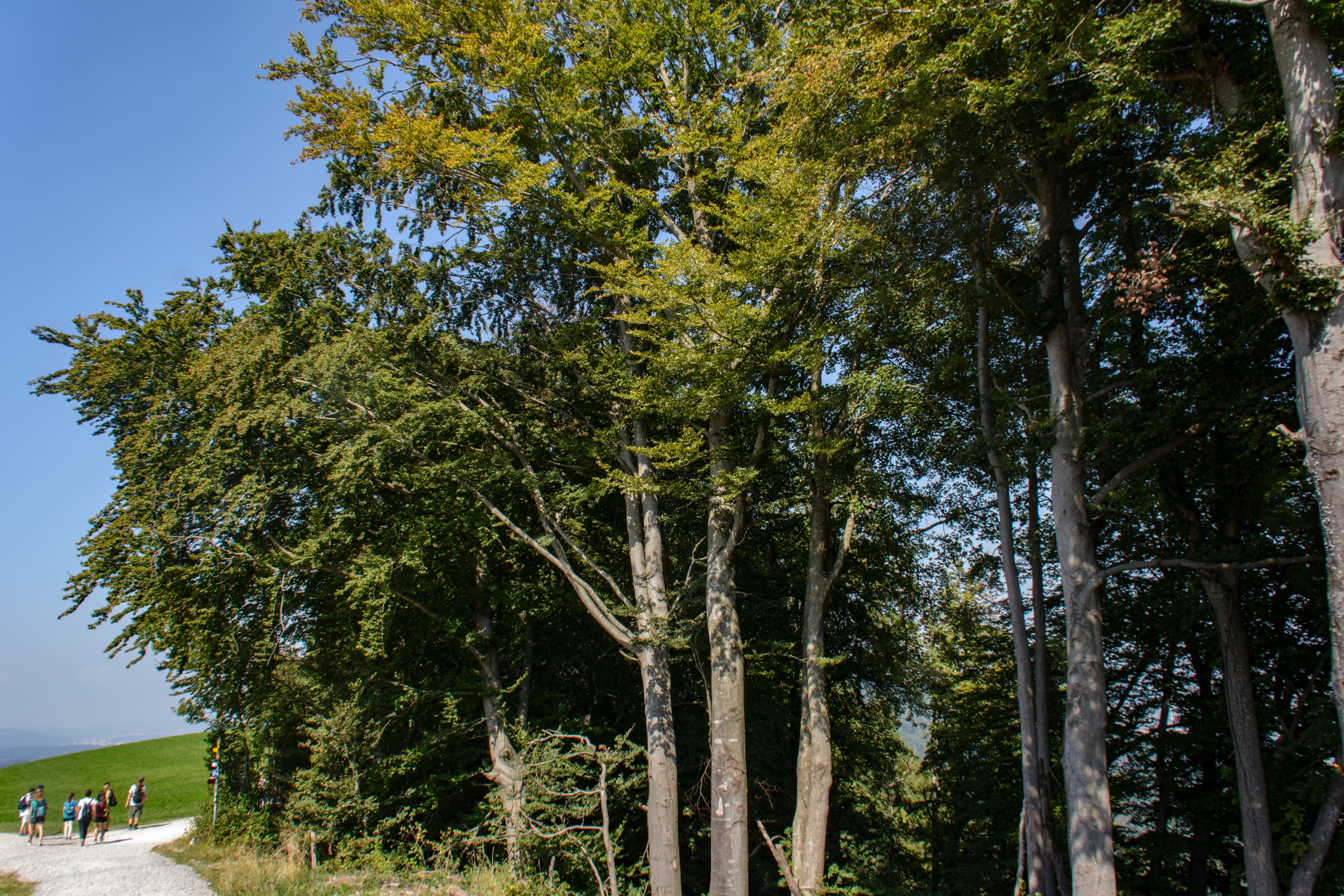 Herbstwanderung Uetliberg 2016 - 024