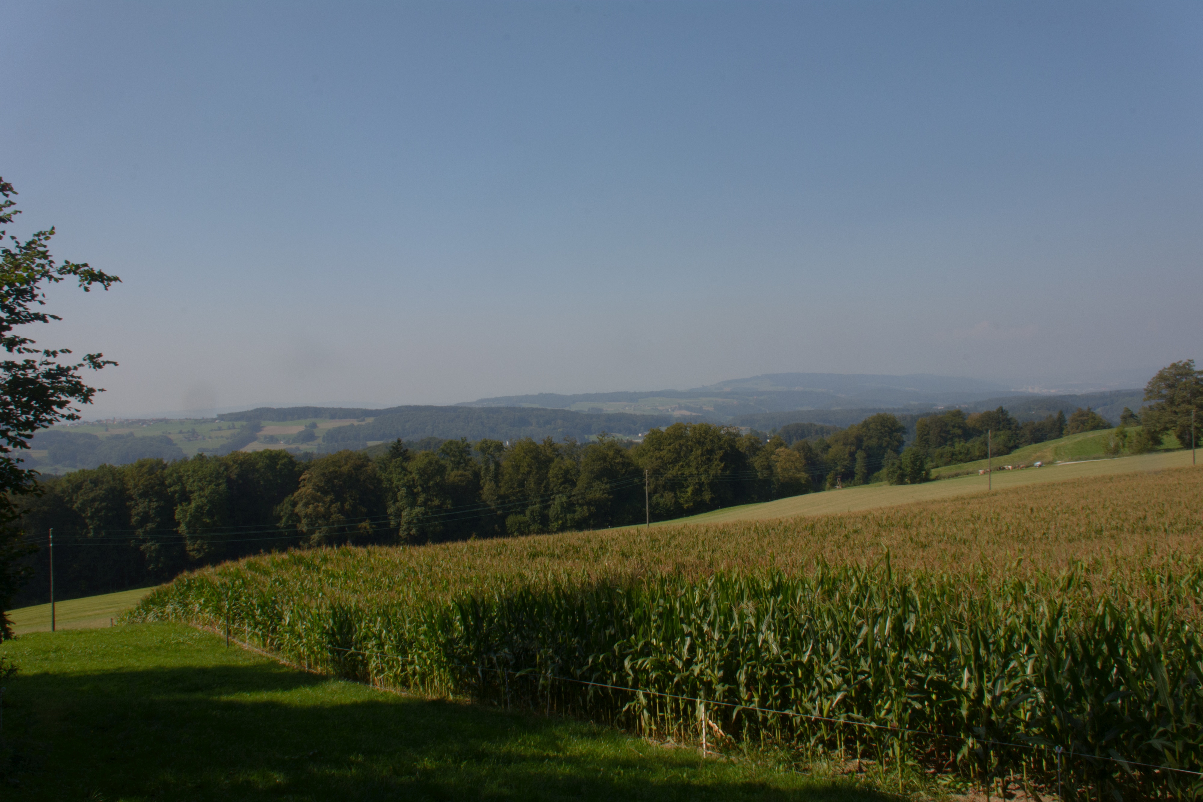 Herbstwanderung Uetliberg 2016 - 035