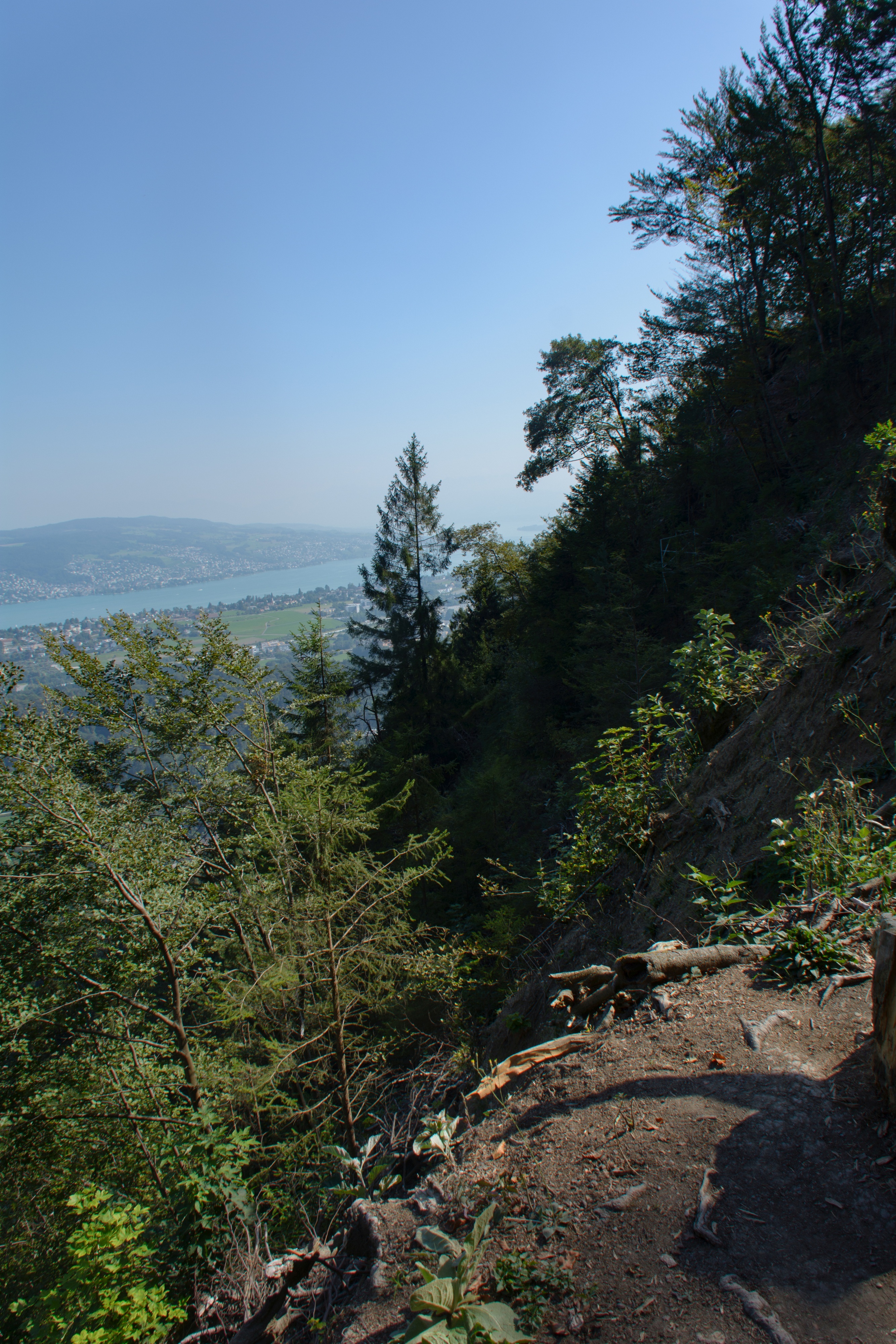 Herbstwanderung Uetliberg 2016 - 052