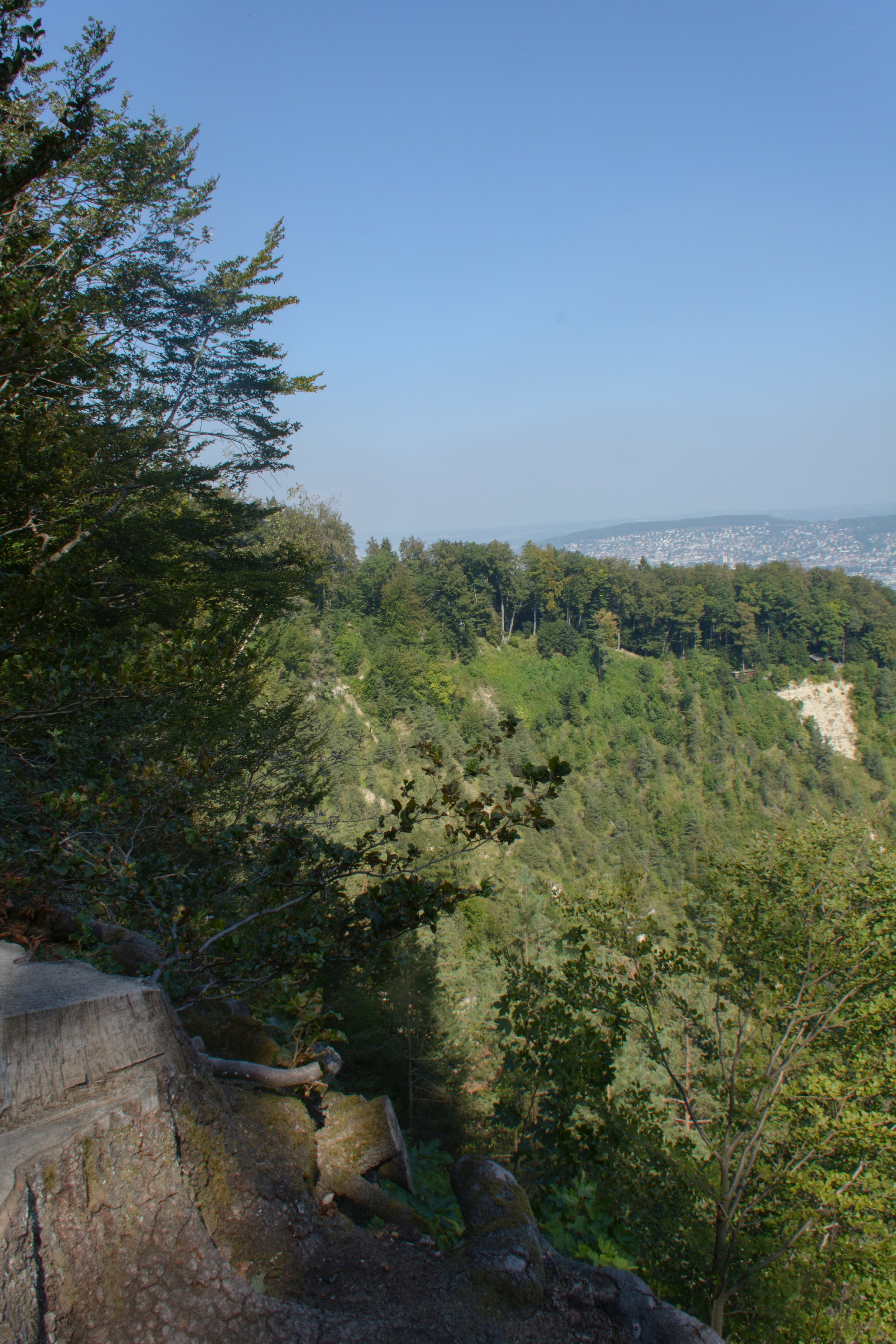 Herbstwanderung Uetliberg 2016 - 059