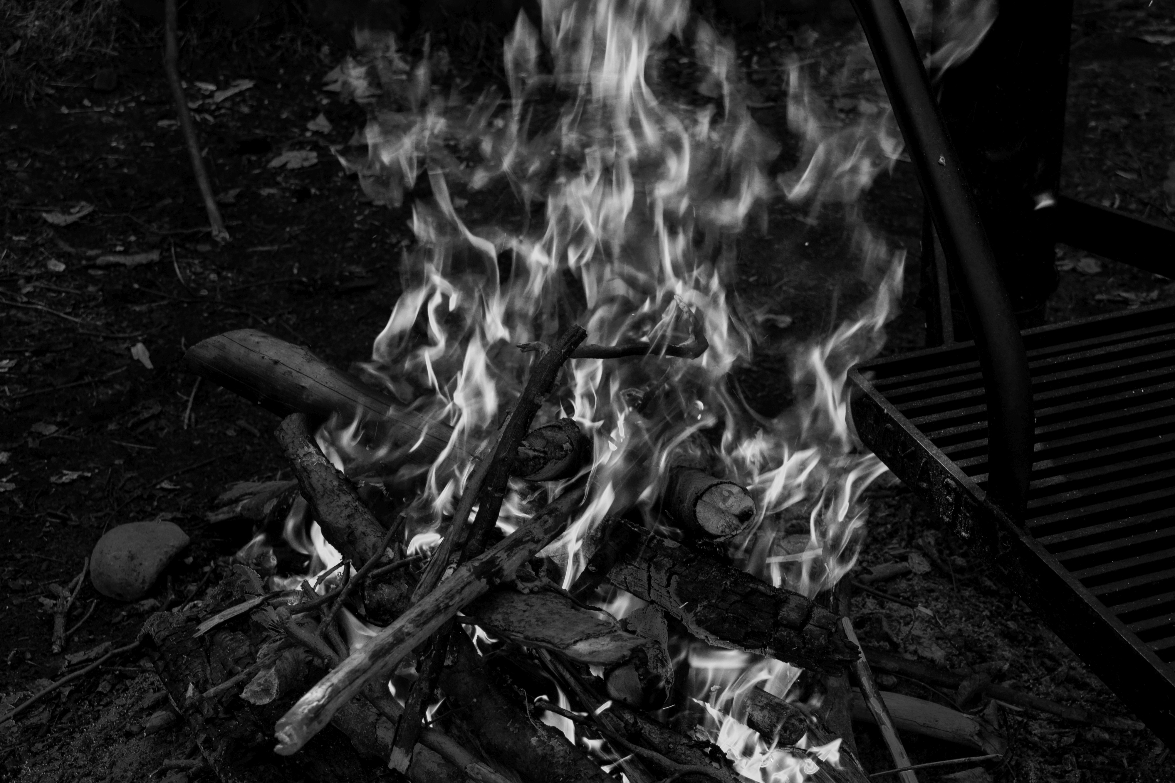 Herbstwanderung Uetliberg 2016 - 071