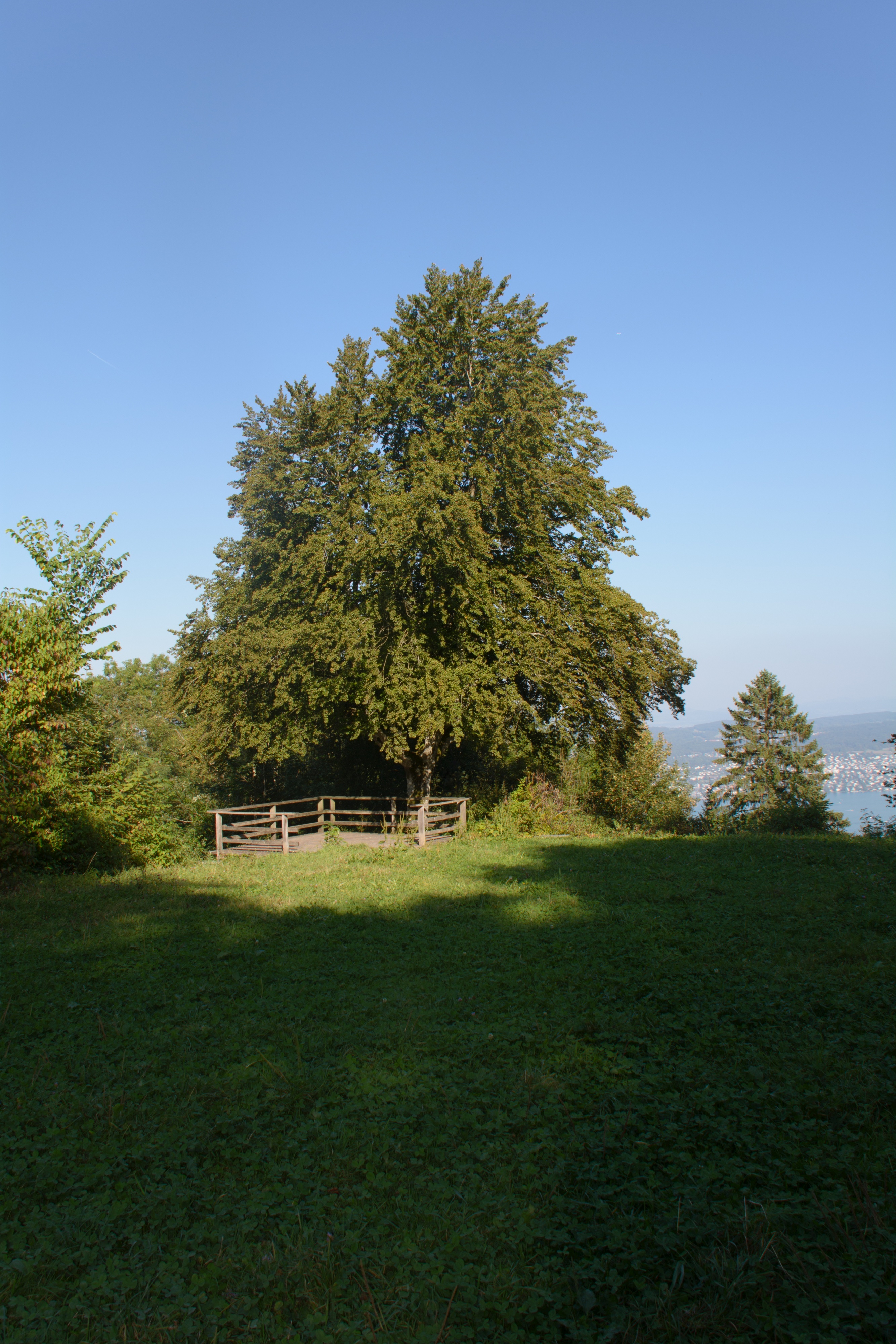 Herbstwanderung Uetliberg 2016 - 083