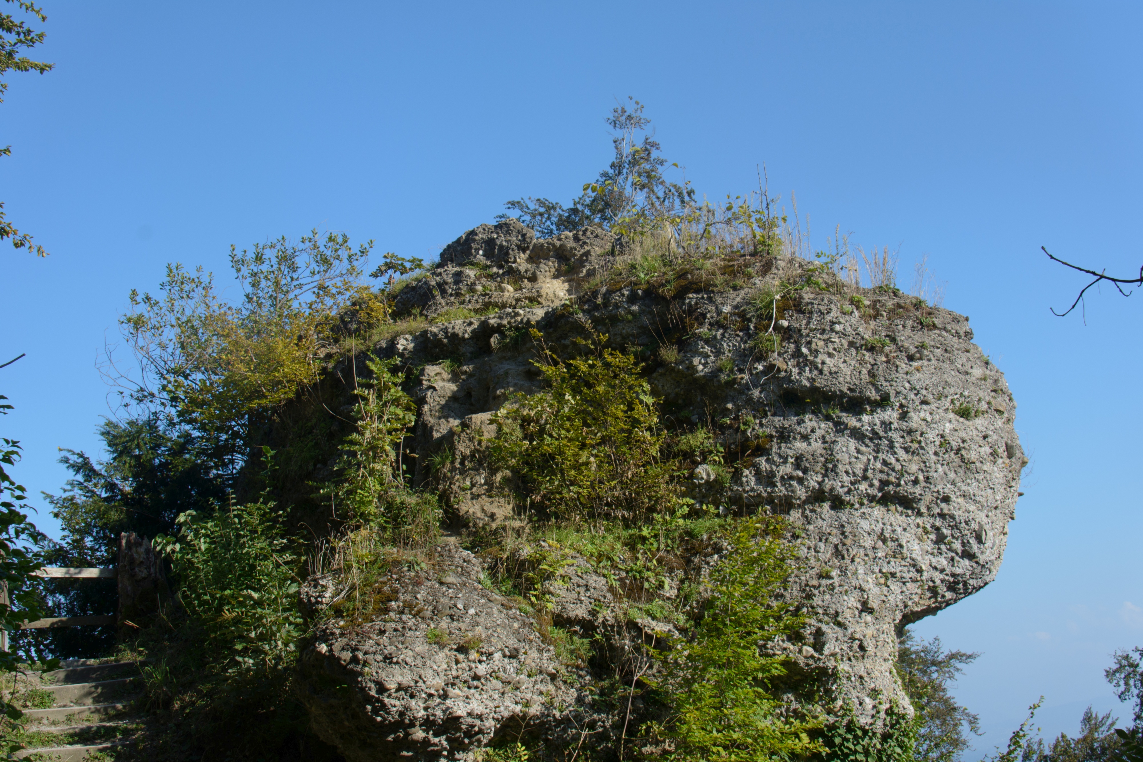 Herbstwanderung Uetliberg 2016 - 088