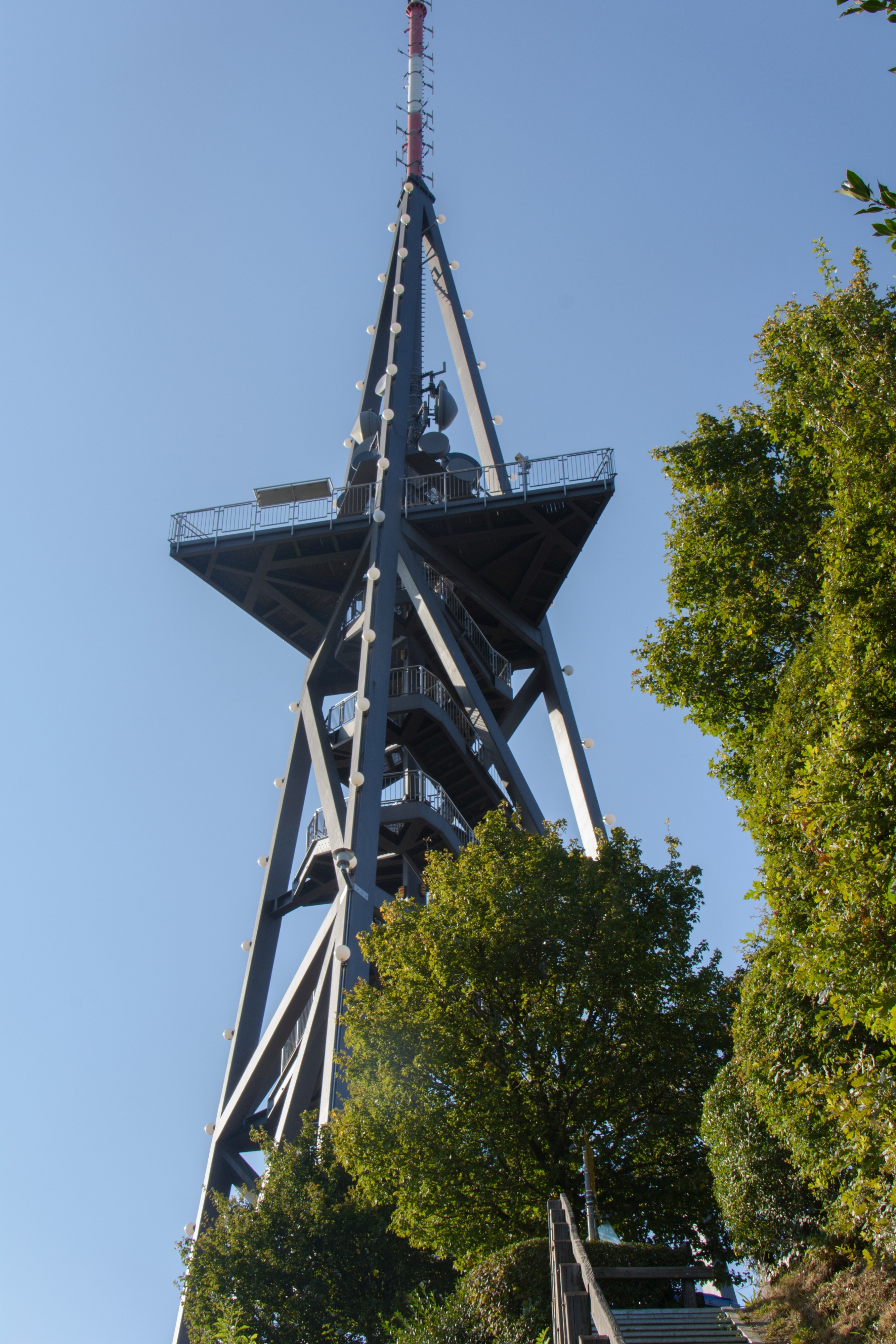 Herbstwanderung Uetliberg 2016 - 091