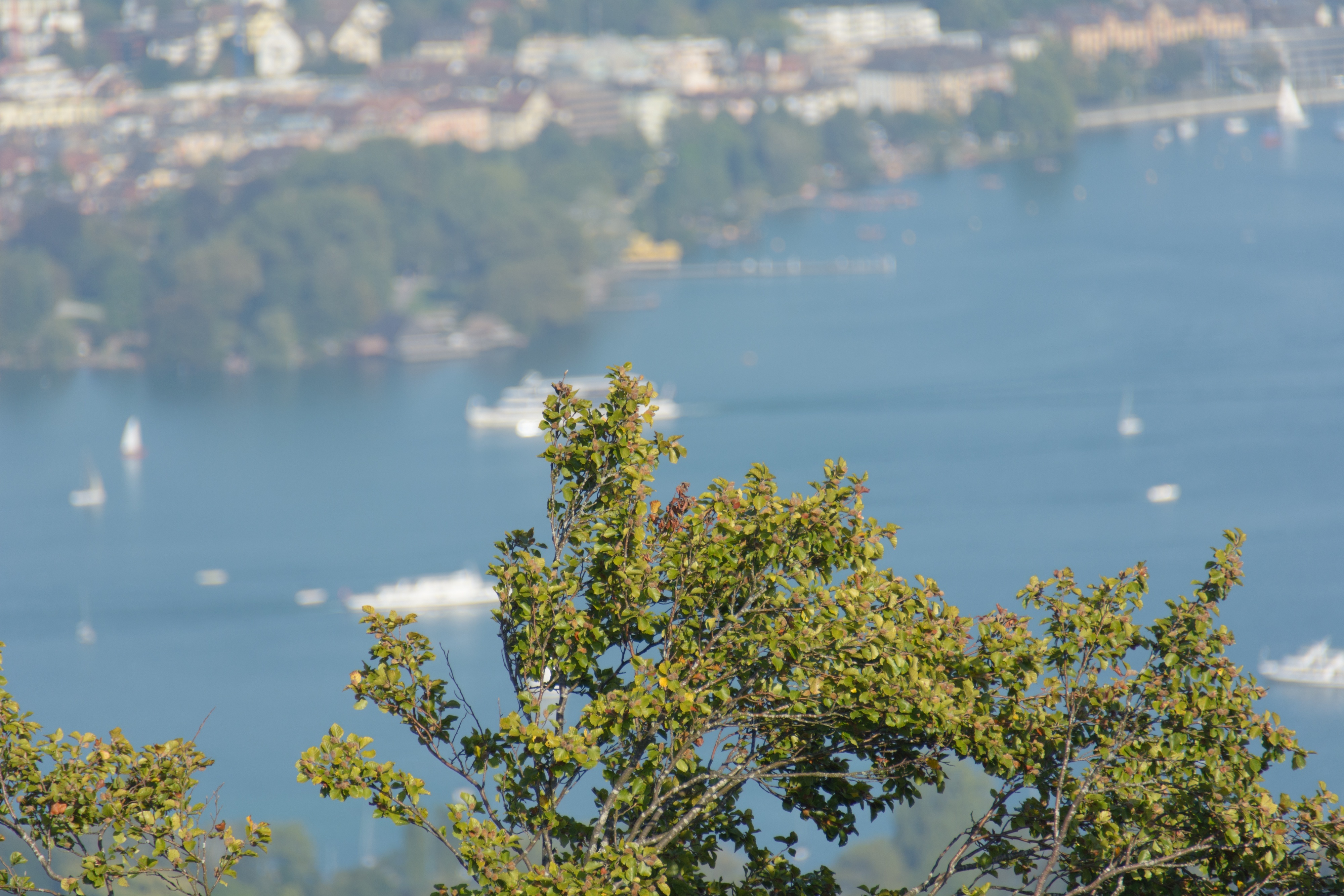 Herbstwanderung Uetliberg 2016 - 105