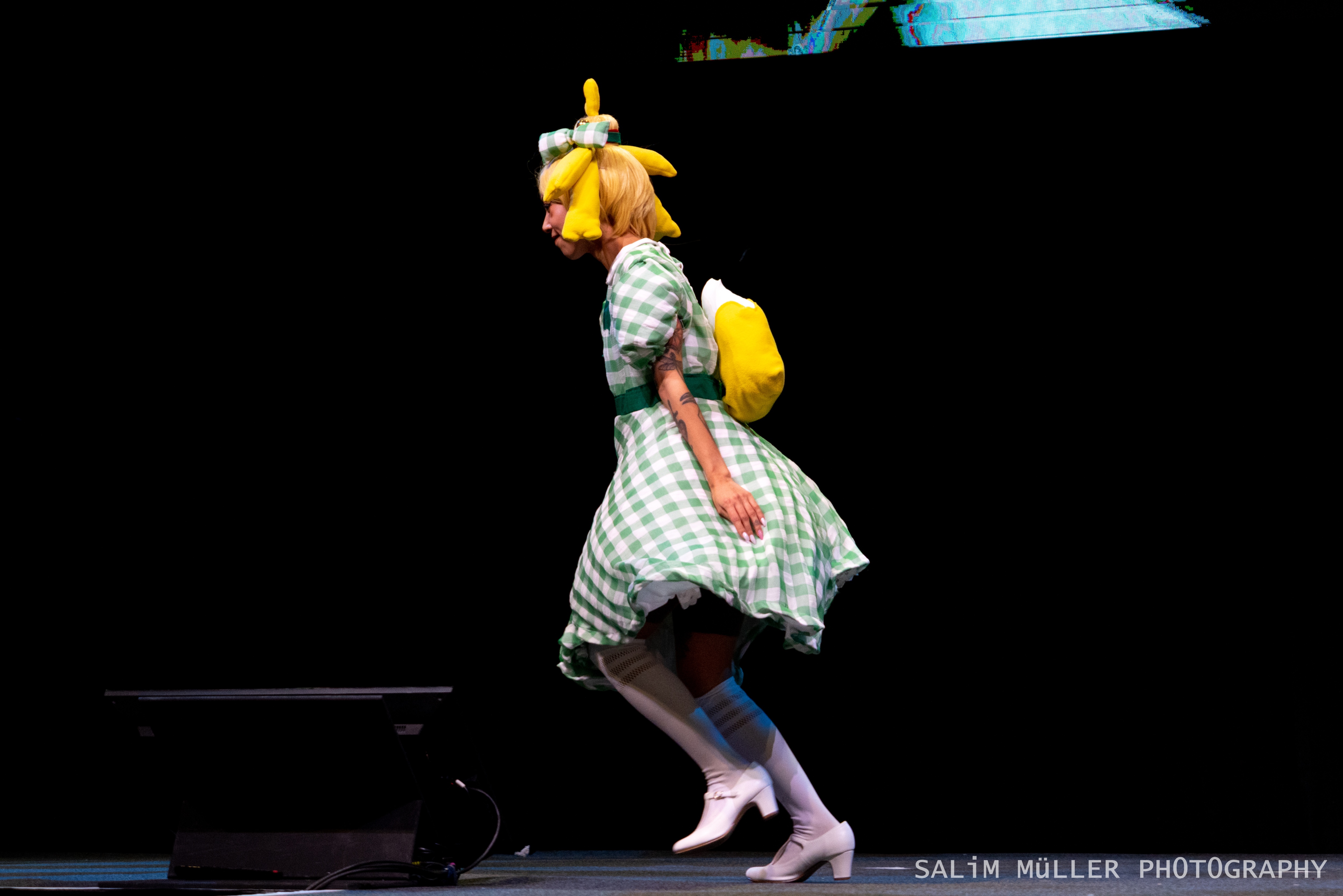 Herofest 2019 - Nintendo Cosplay Catwalk (Sonntag) - 030