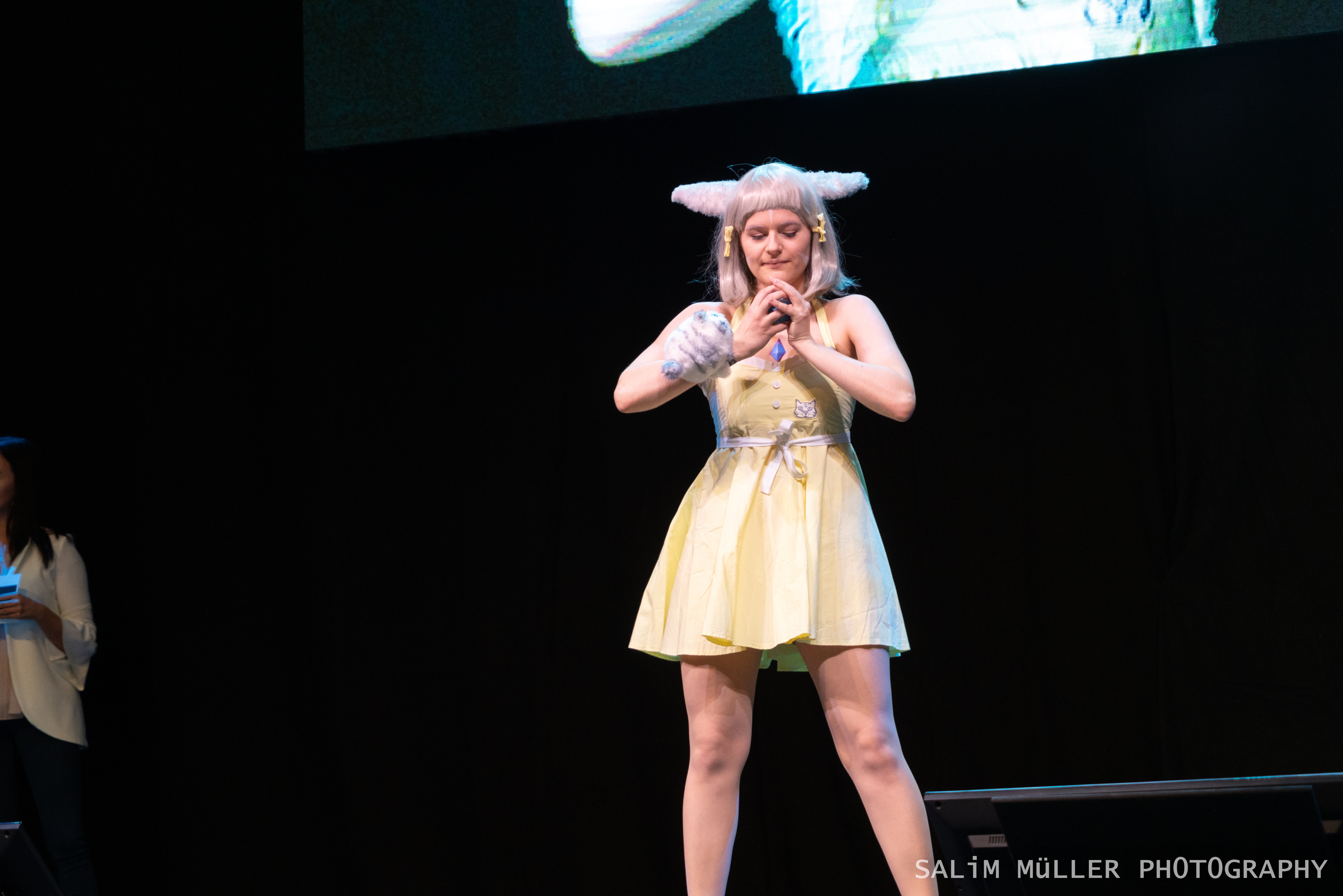 Herofest 2019 - Nintendo Cosplay Catwalk (Samstag) - 007