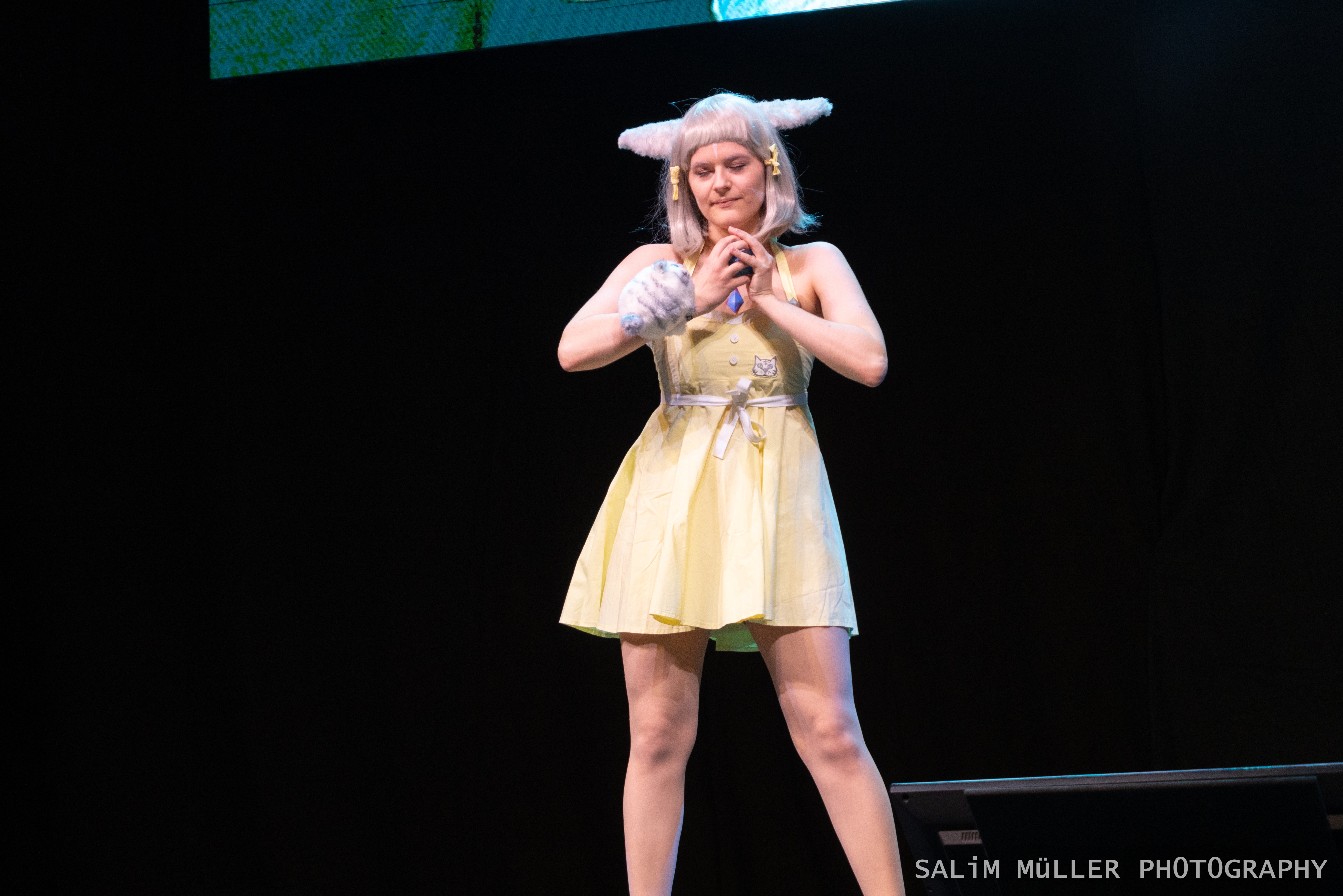 Herofest 2019 - Nintendo Cosplay Catwalk (Samstag) - 008