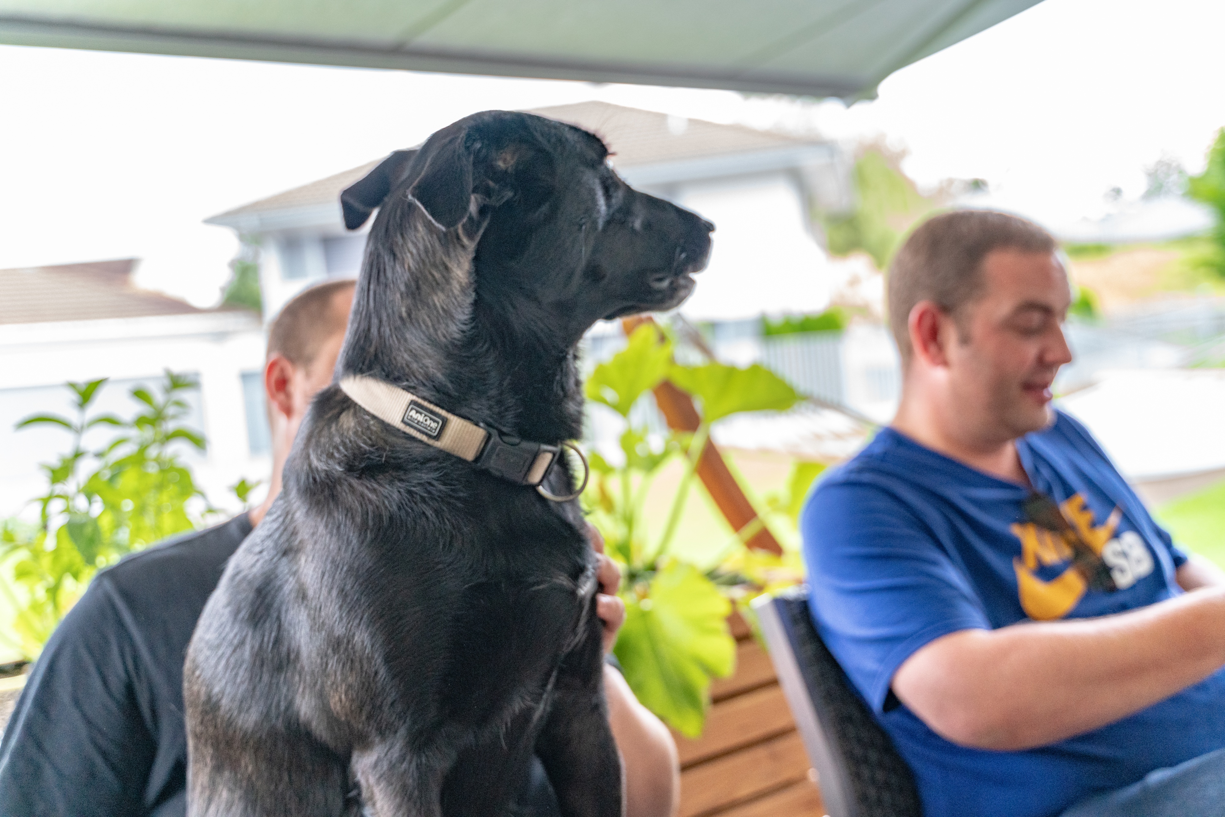 Stilleben am Grillabend bei Cyril - 039