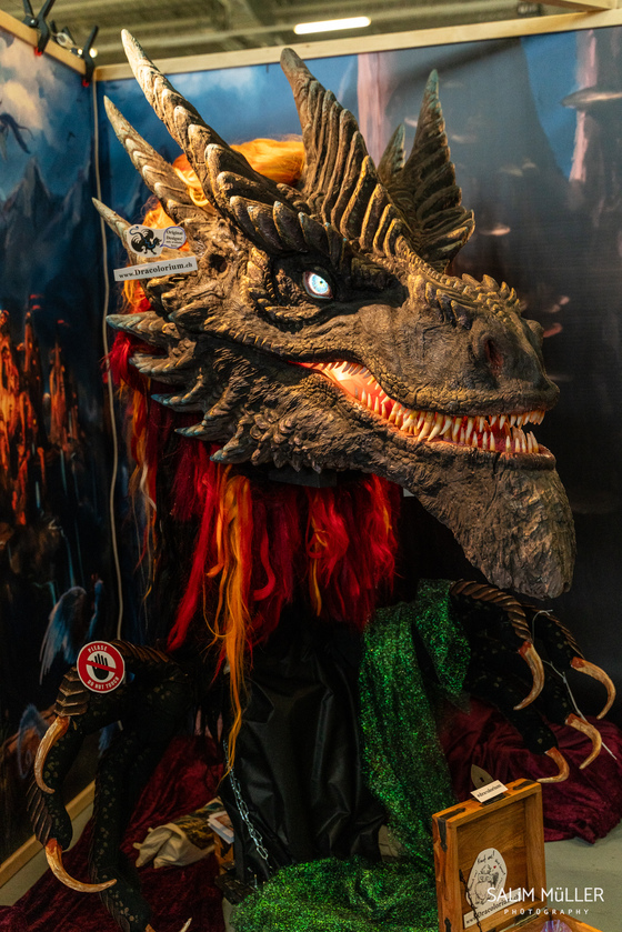 2025-10-03 - HeroFest 2025 - Impressionen - 049