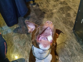 skV & Friends X-MAS LAN 2021 - 013