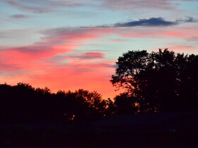 2013-05-17 - BANANE LAN 2013 - 003