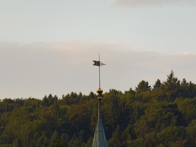 BANANE-LAN 2017 - 003