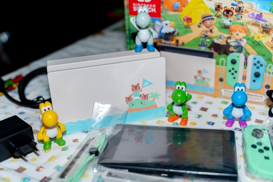 Nintendo Switch Animal Crossing New Horizons Edition Unboxing - 006