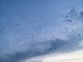 SwitzerLAN 2021 - Day 3 + 4 - 009