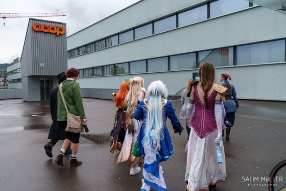 HeroFest Cosplay Flashmob Grosse Schanze Erupt Bern - 002